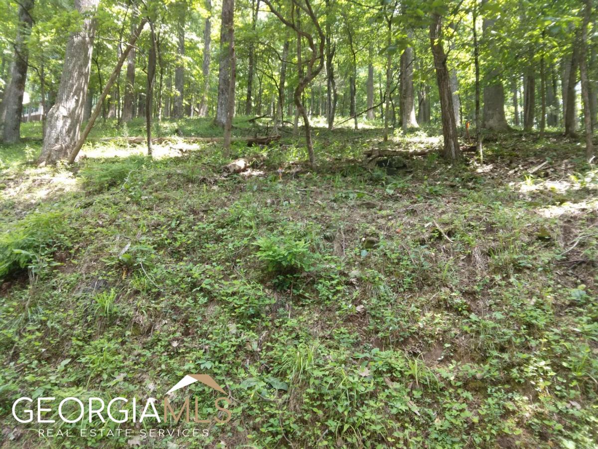 M213 Walnut Ridge # M213 Property Photo 2
