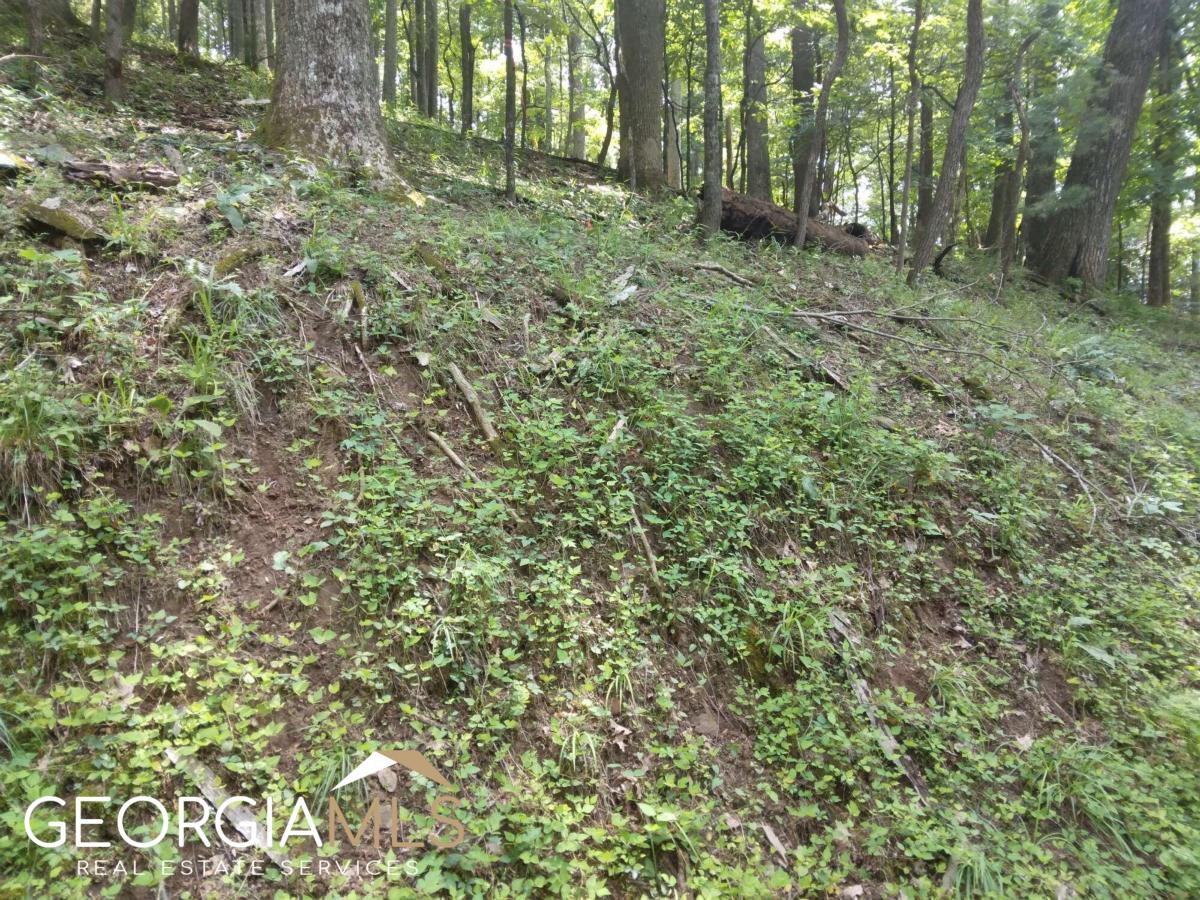 M213 Walnut Ridge # M213 Property Photo 3