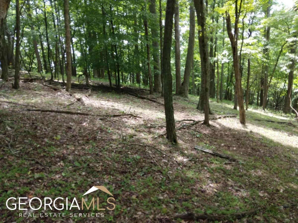 M213 Walnut Ridge # M213 Property Photo 4