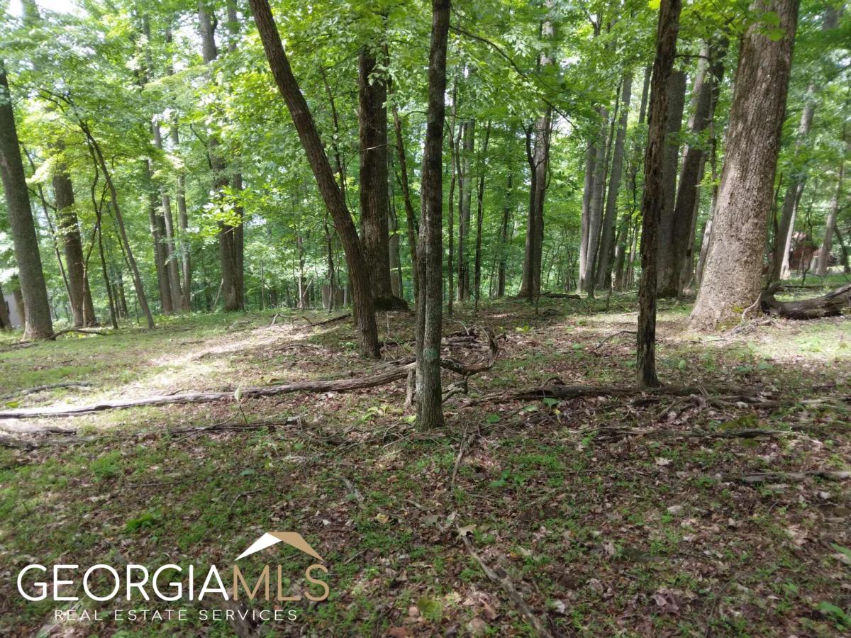 M213 Walnut Ridge # M213 Property Photo 5