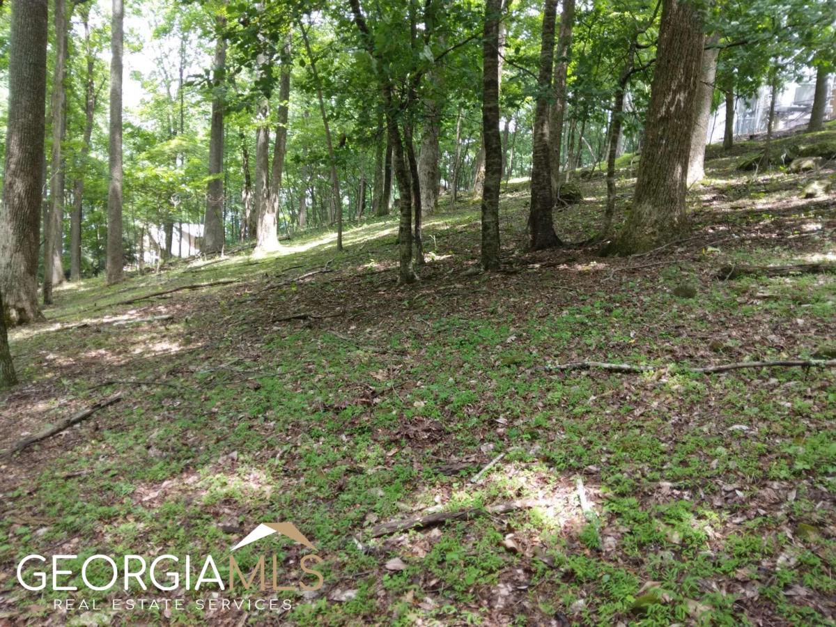 M213 Walnut Ridge # M213 Property Photo 6