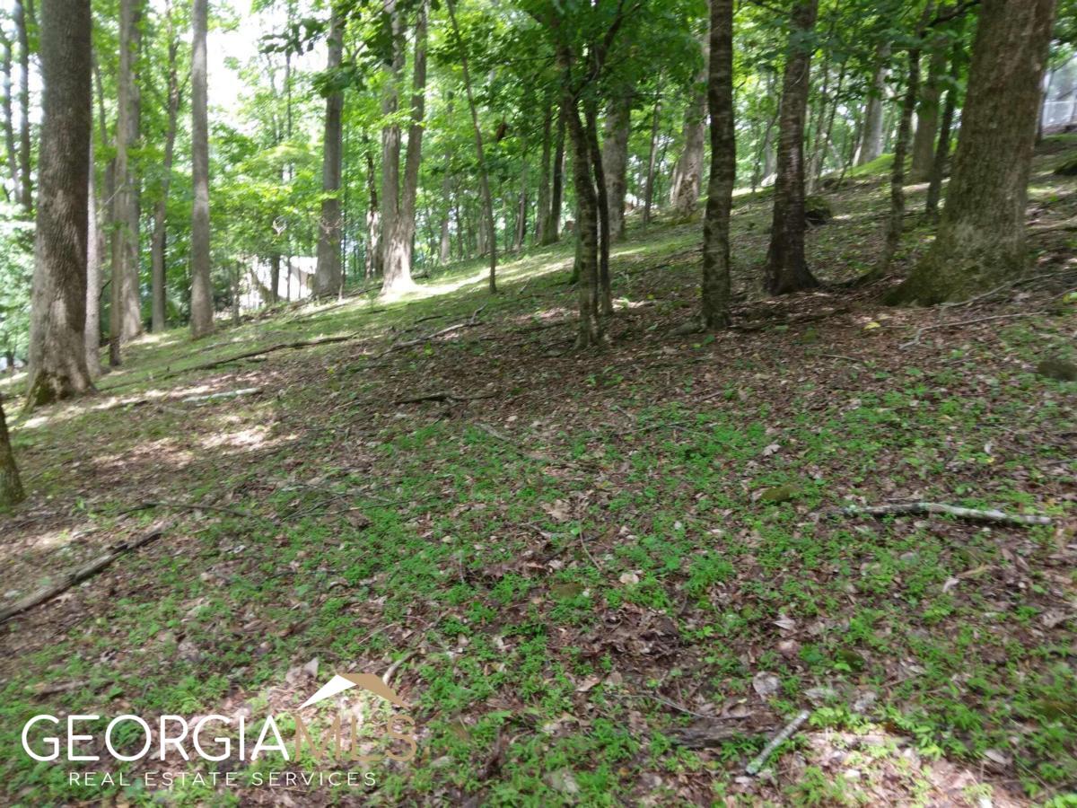 M213 Walnut Ridge # M213 Property Photo 7