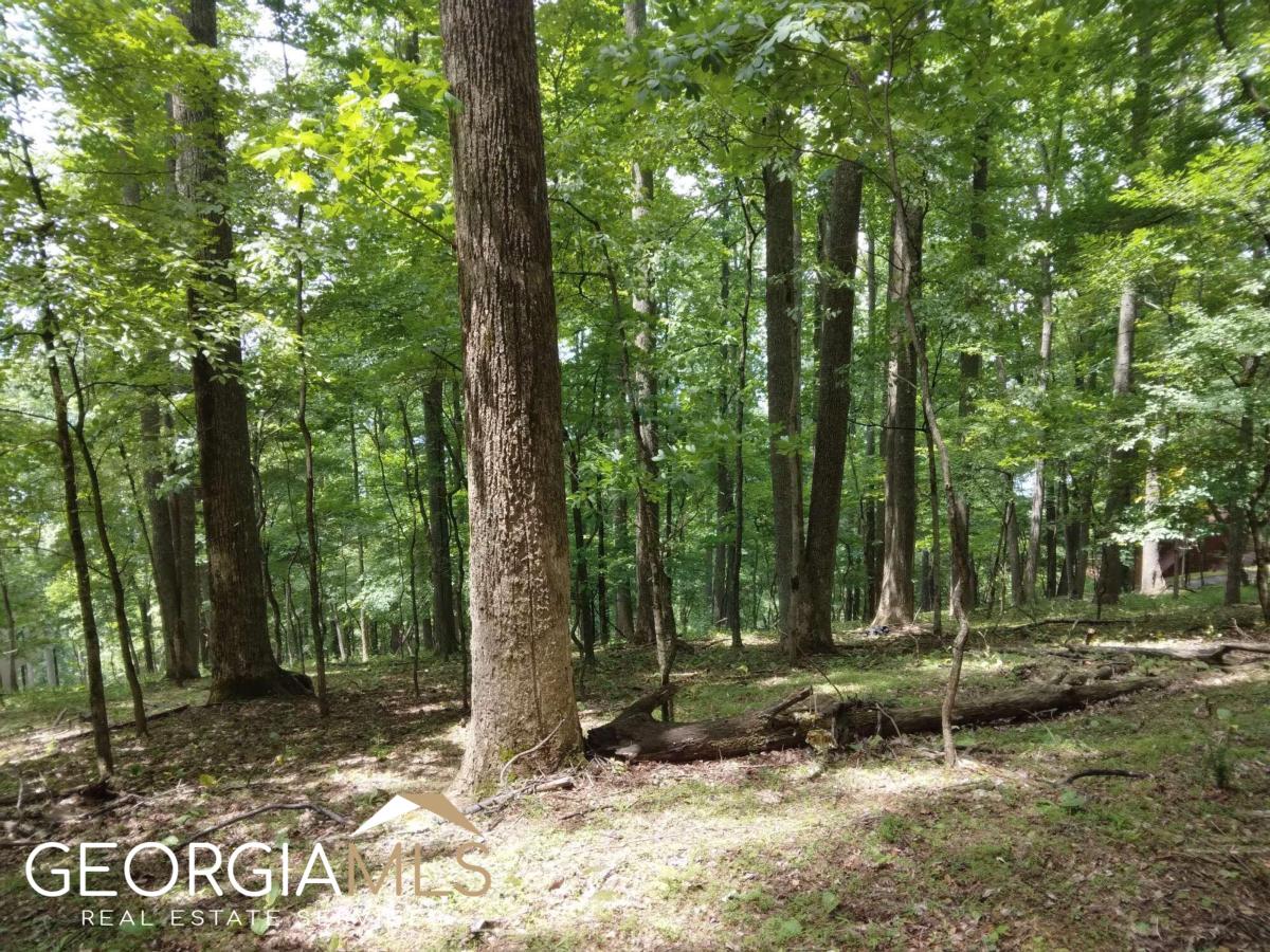 M213 Walnut Ridge # M213 Property Photo 8