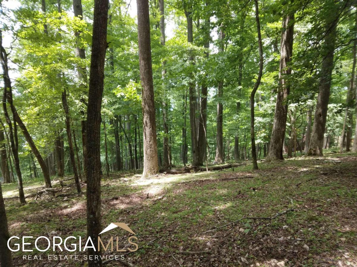 M213 Walnut Ridge # M213 Property Photo 9