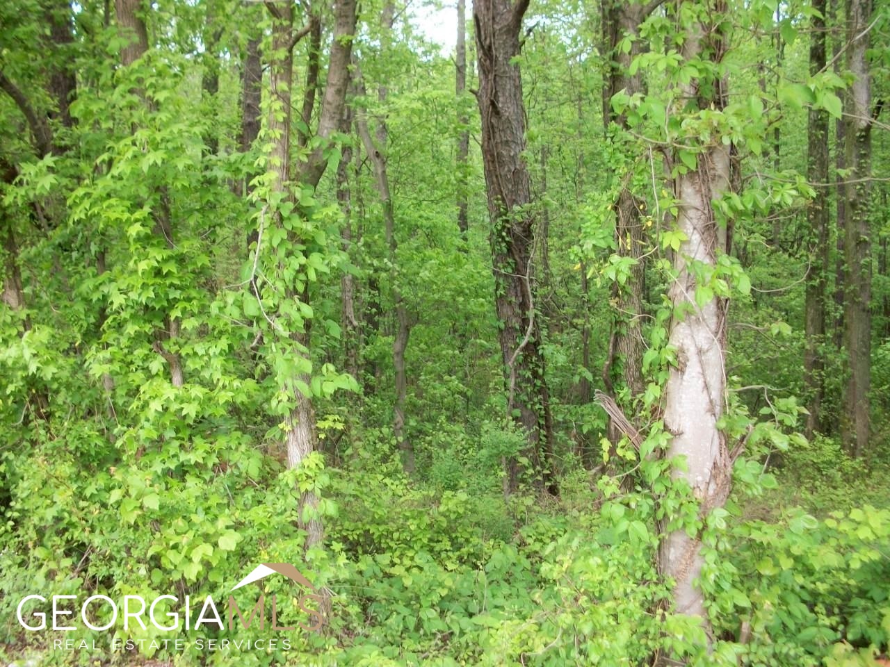 635 Nunnally Farm Road Property Photo 1
