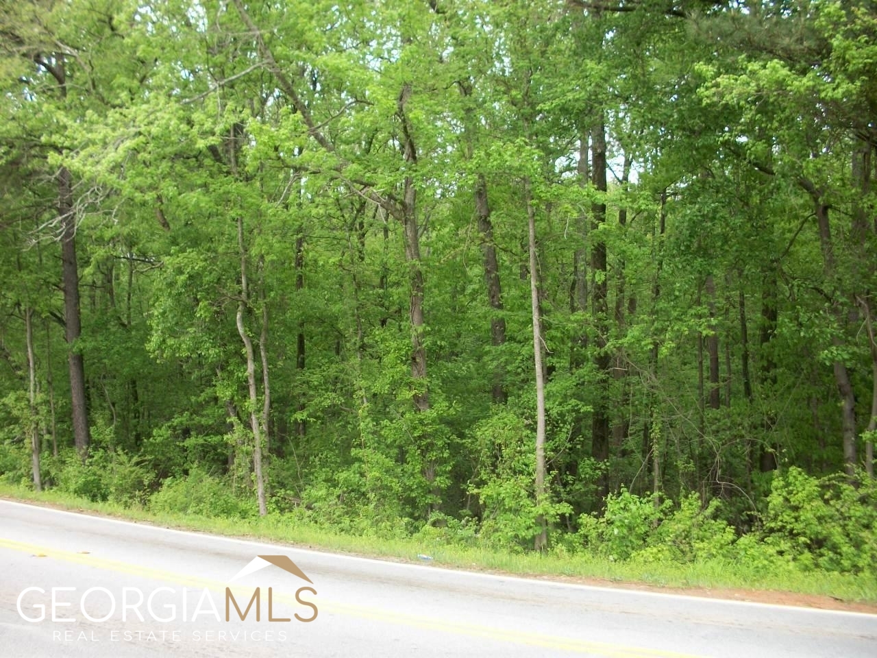 635 Nunnally Farm Road Property Photo 3