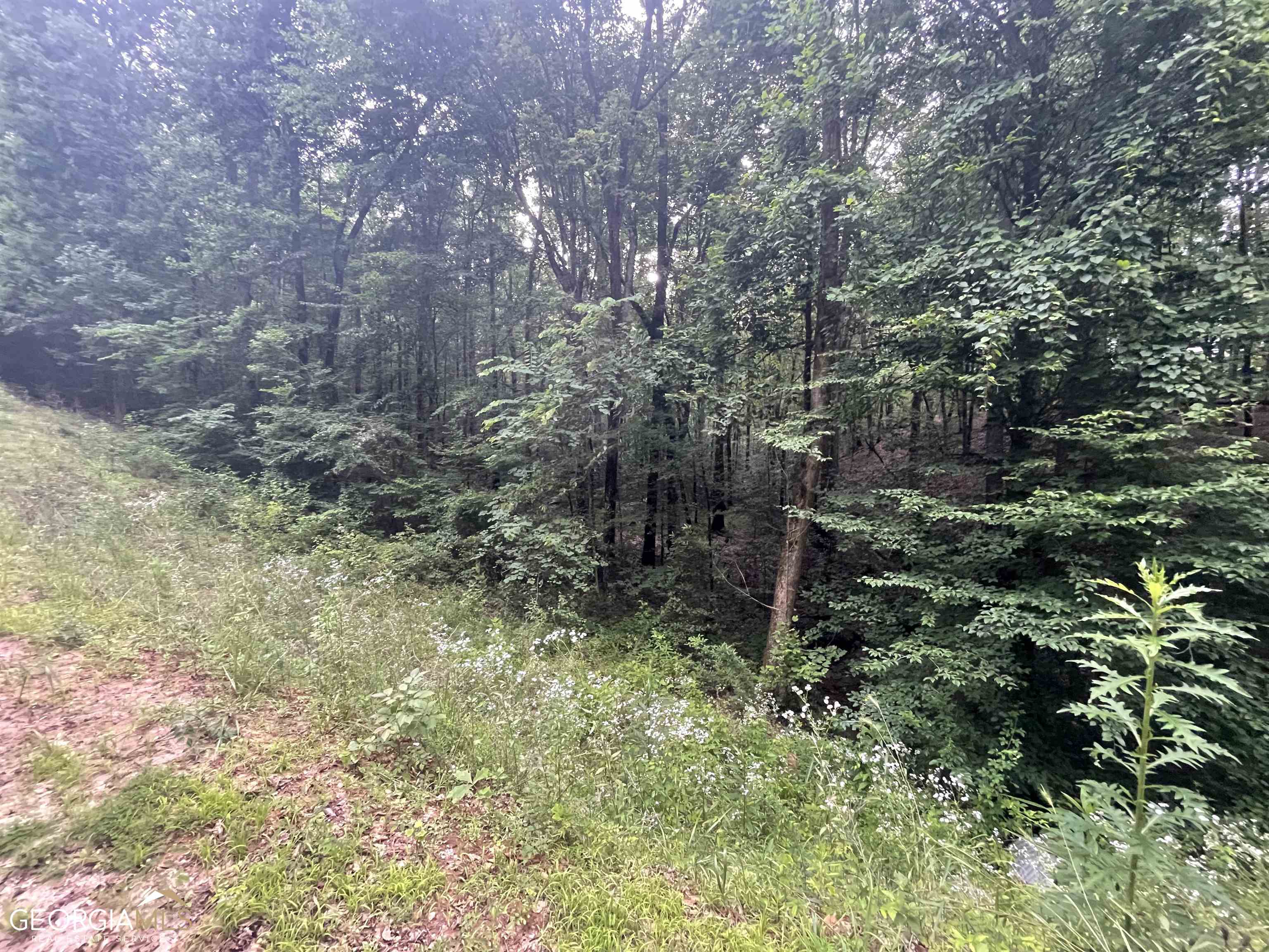 190 Hardwood Lane Property Photo
