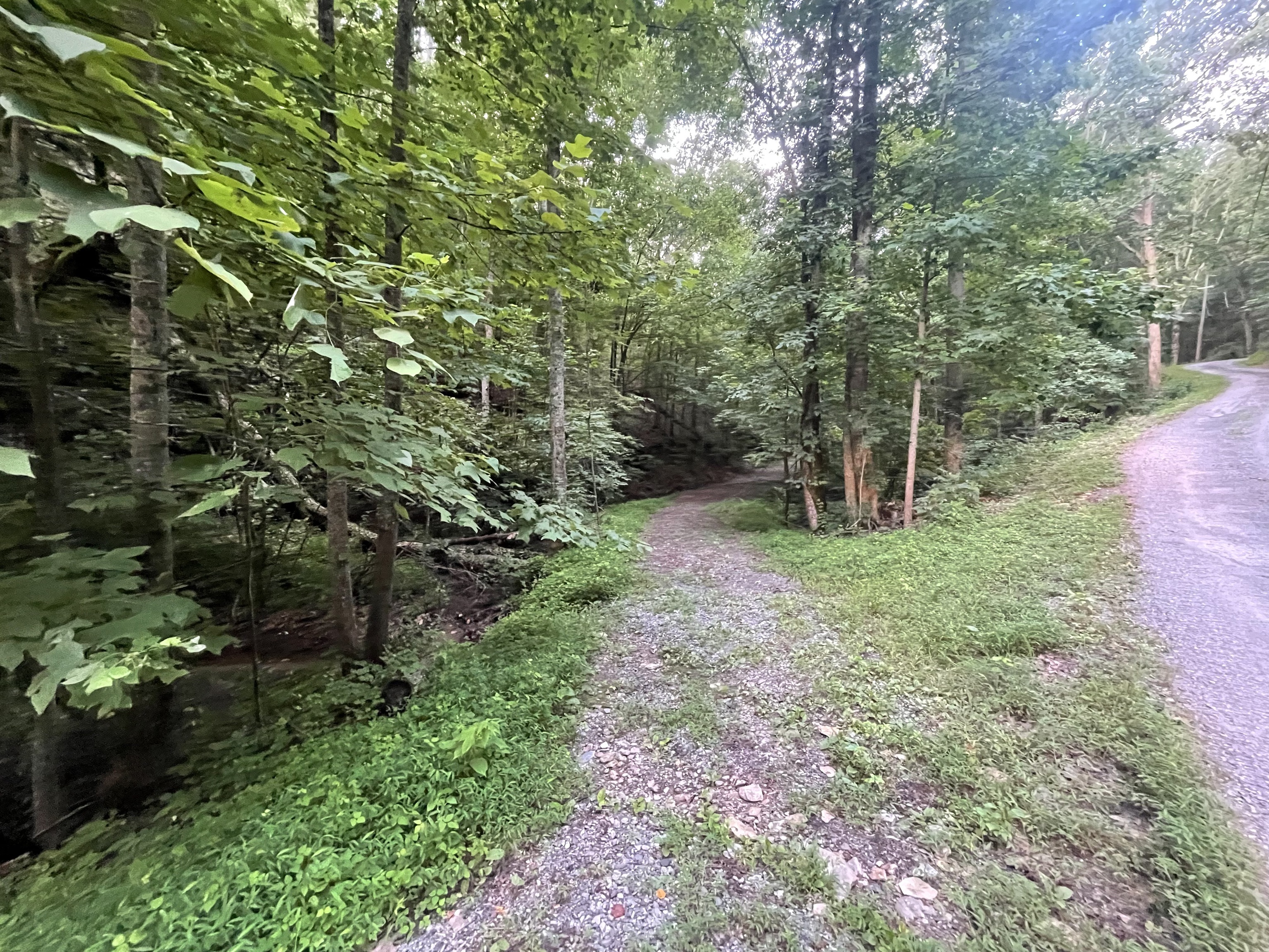 665 Sanford Court Property Photo 1
