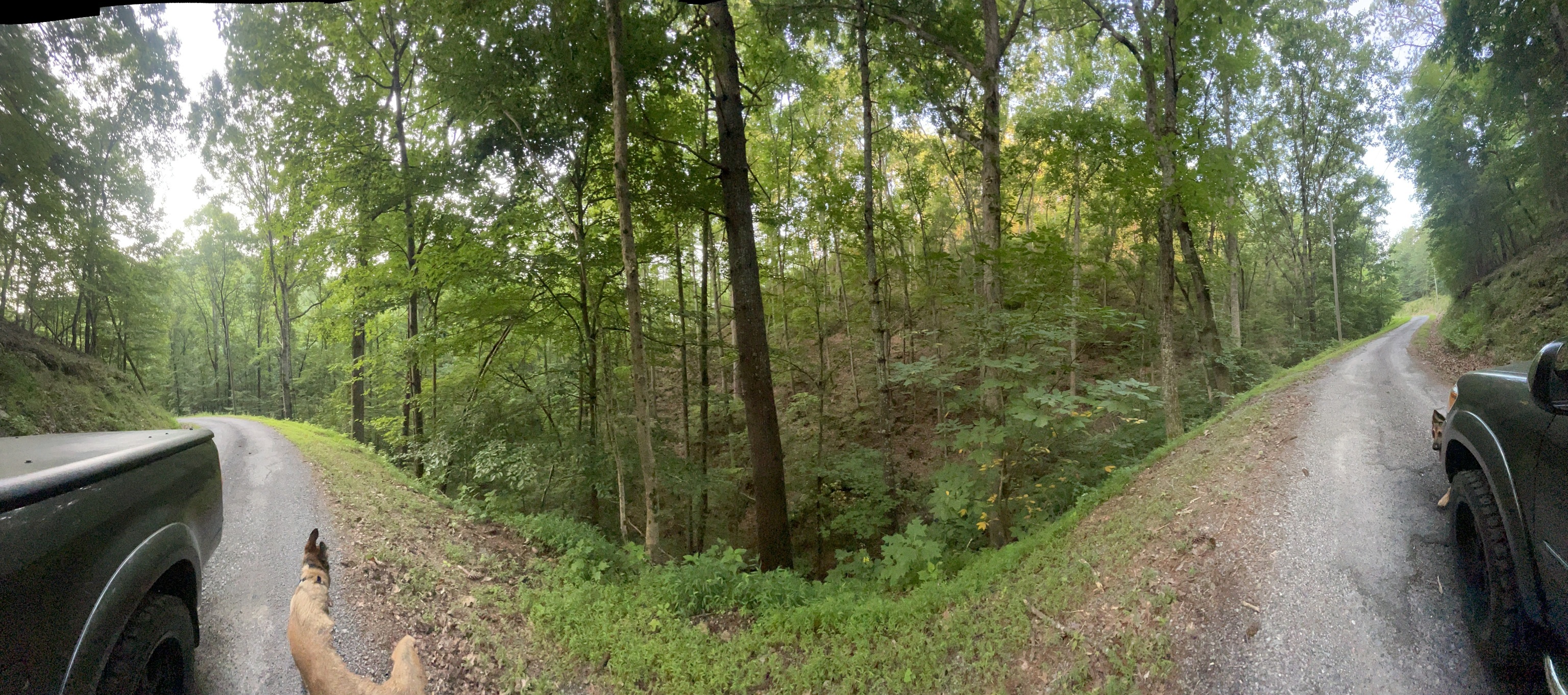 725 Anderson Lane Property Photo 2