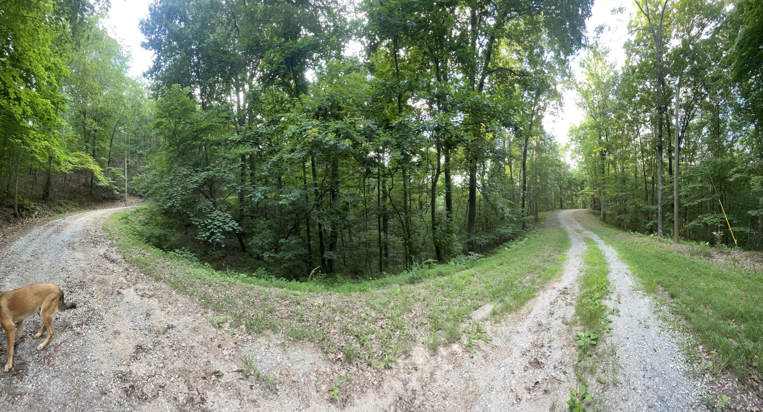 1218 Hilton Drive Property Photo 2