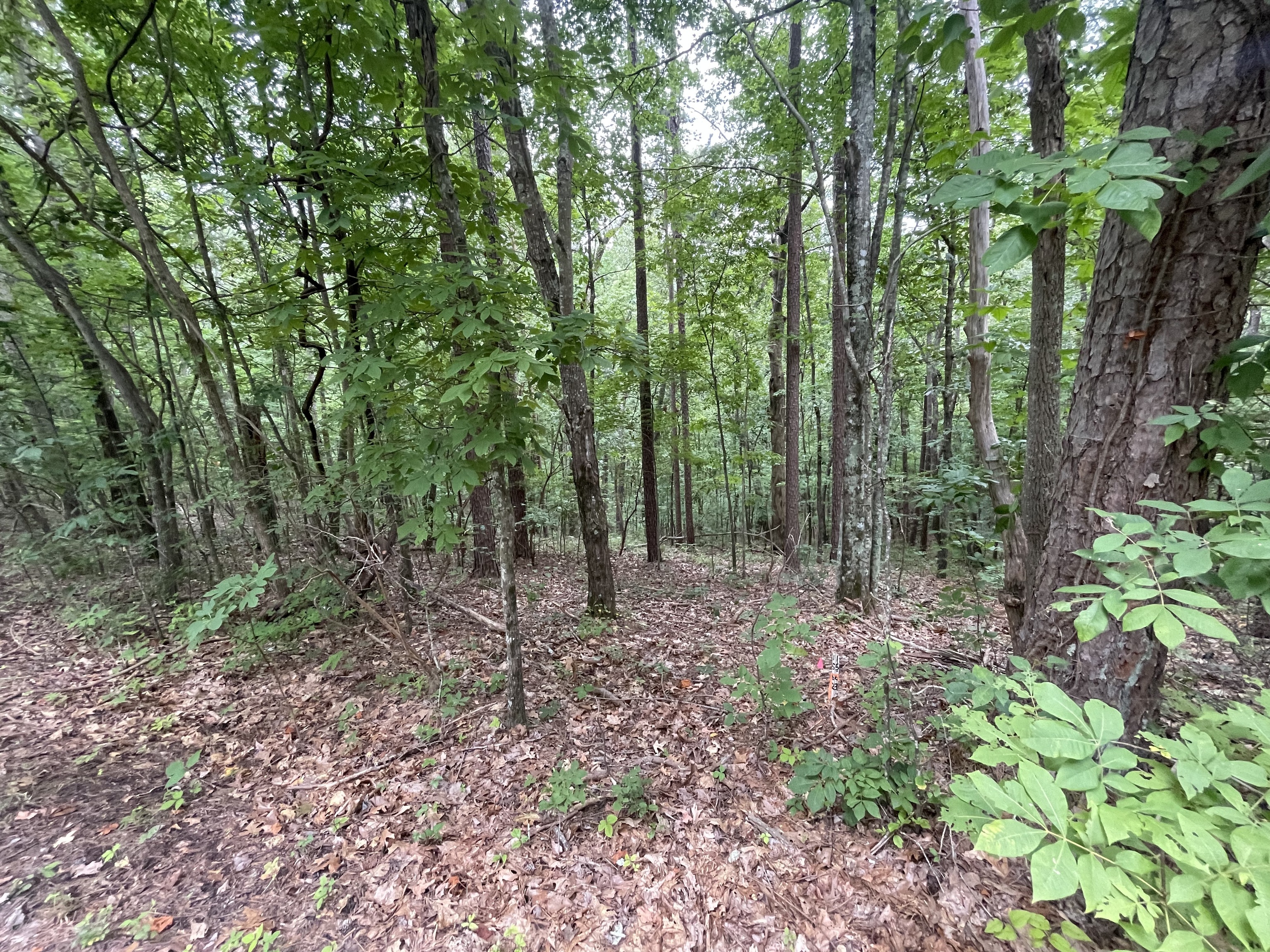 1562 Dover Circle Property Photo 2