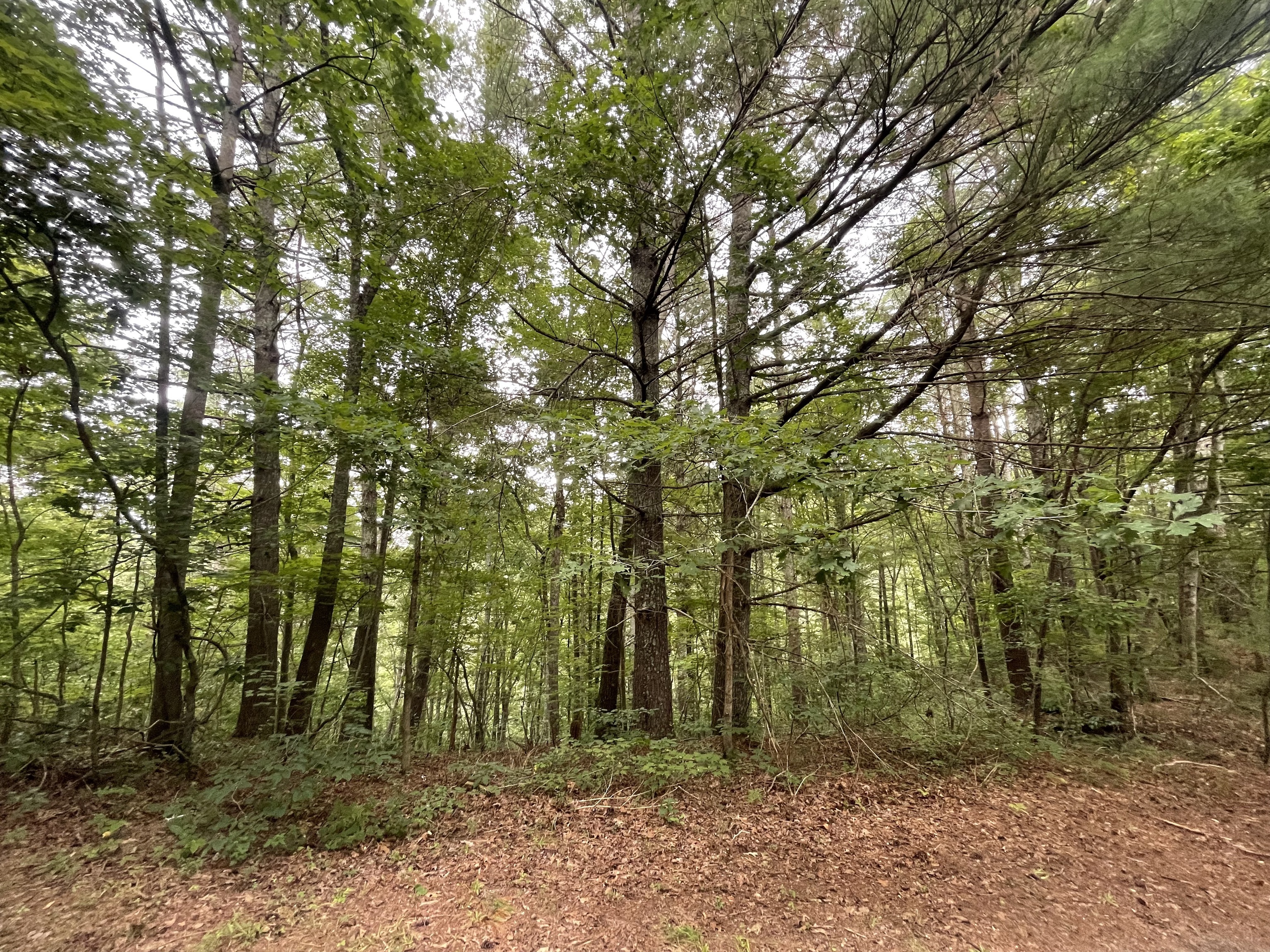 1553 Dorian Court Property Photo 1