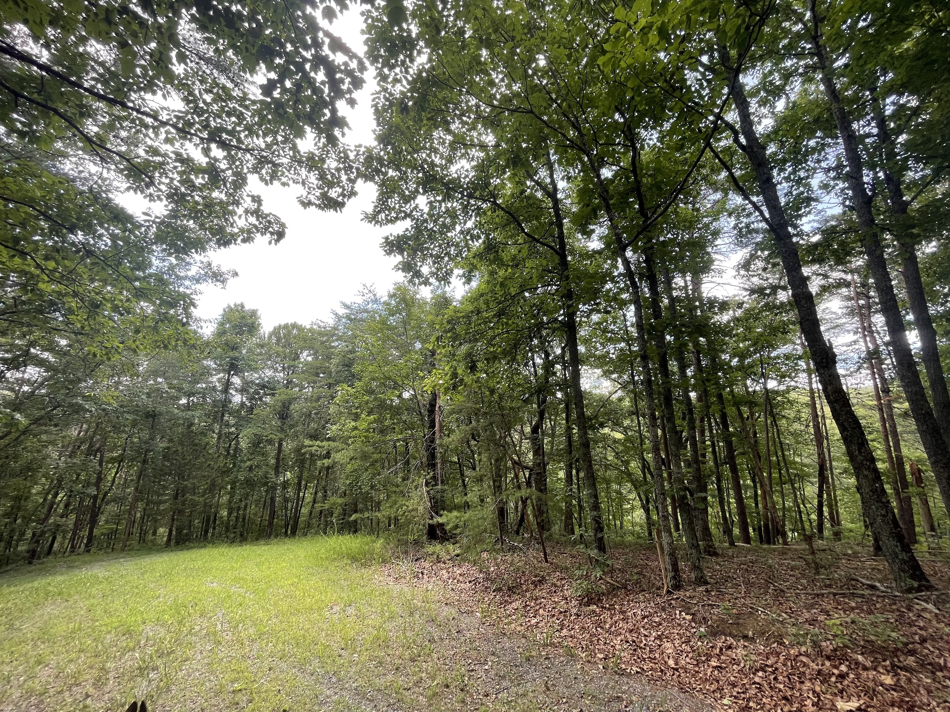 1510 Drew Court Property Photo 1