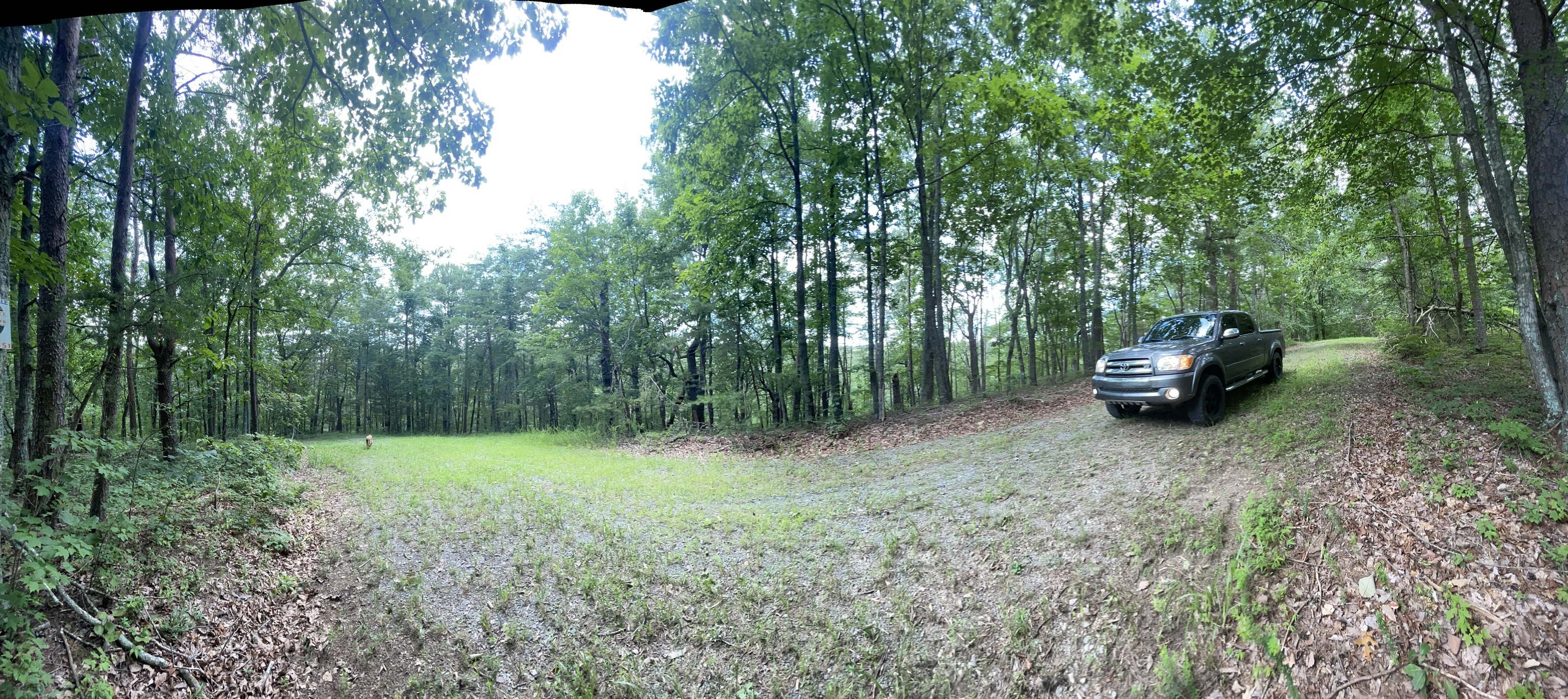 1510 Drew Court Property Photo 2