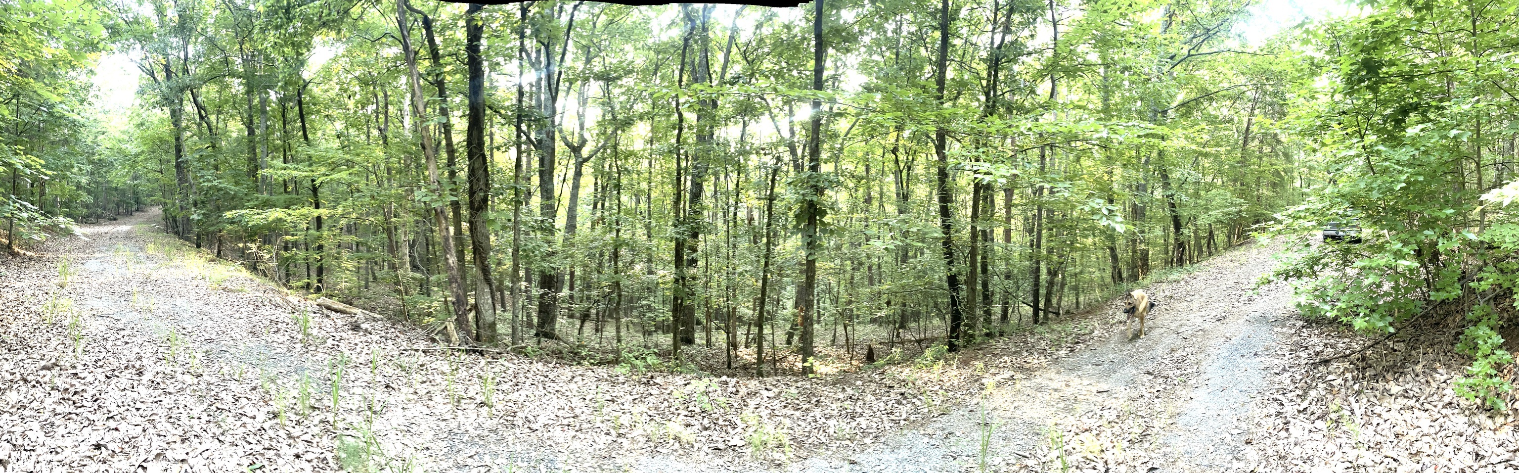 715 Railey Ridge Property Photo 1