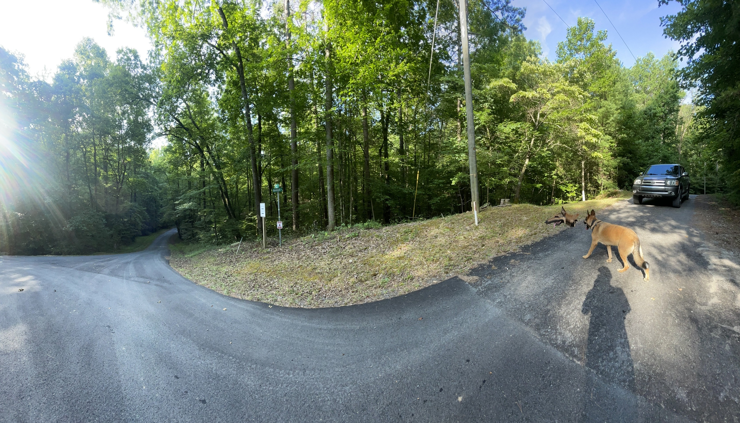 730 Nettle Lane Property Photo 2