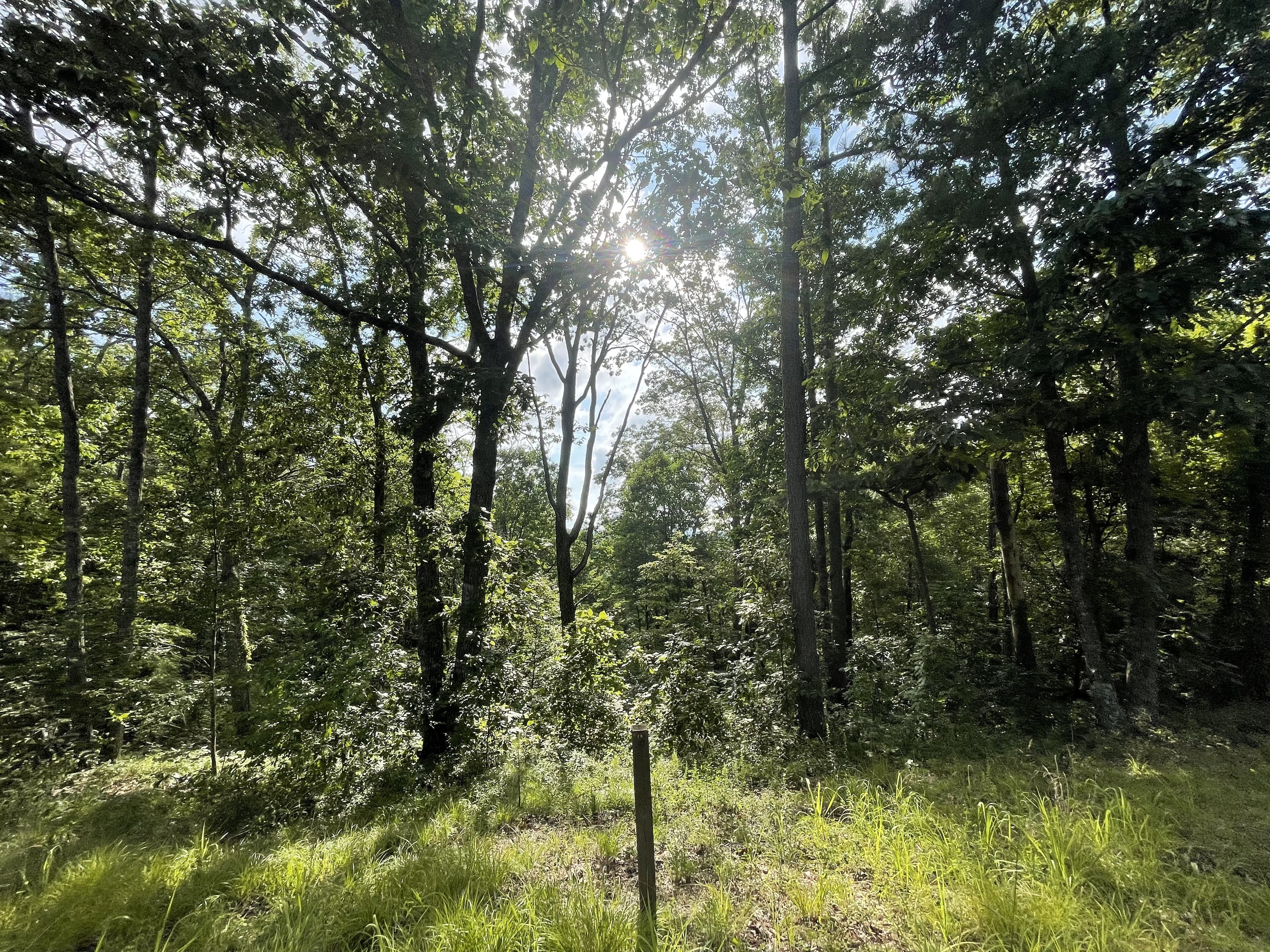 101 Adair Drive Property Photo 1