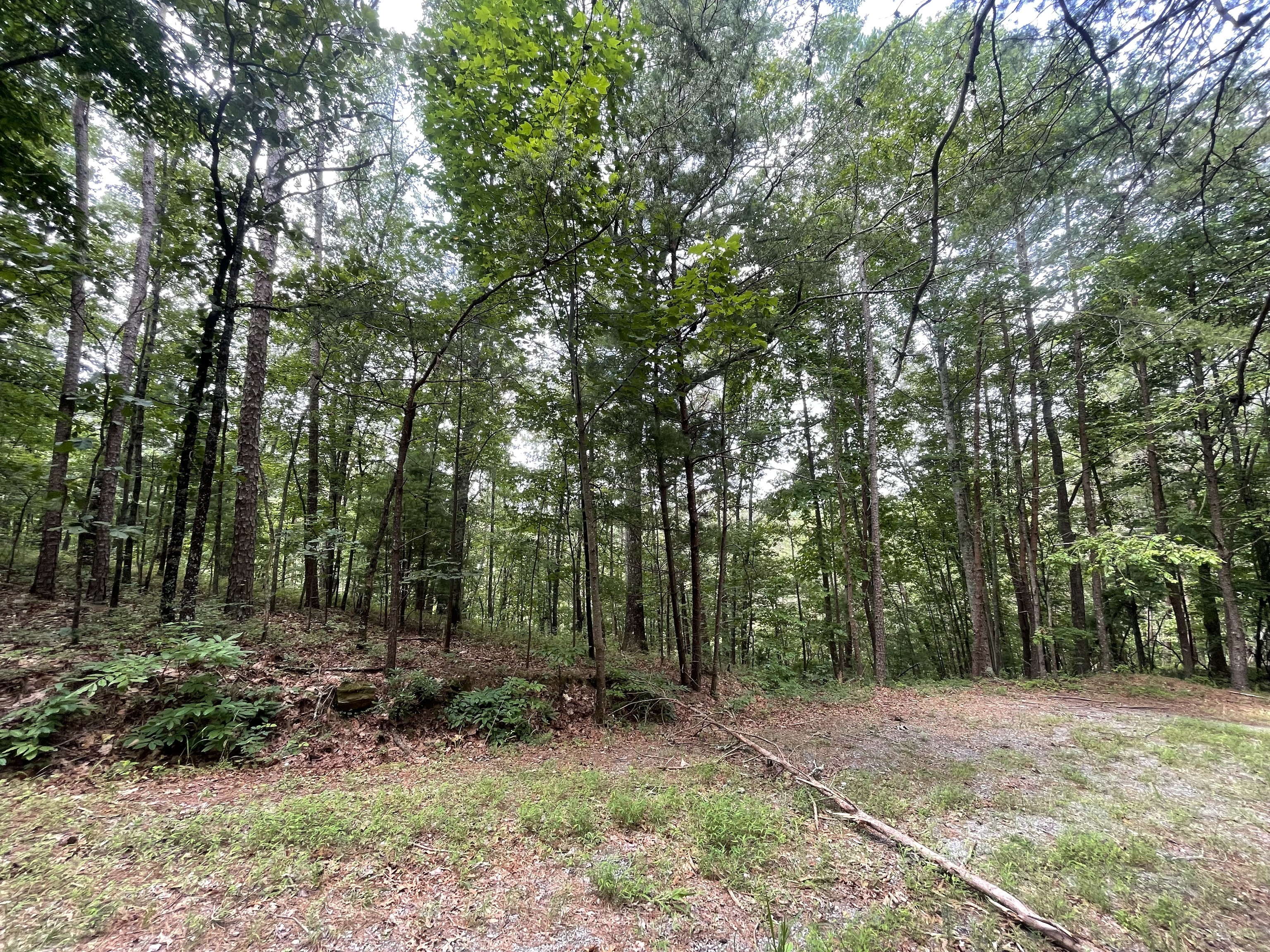 756 Neptune Court Property Photo 1