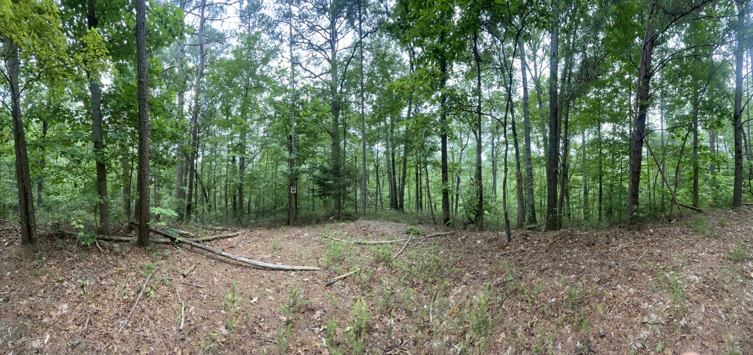 741 Forge Court Property Photo 1