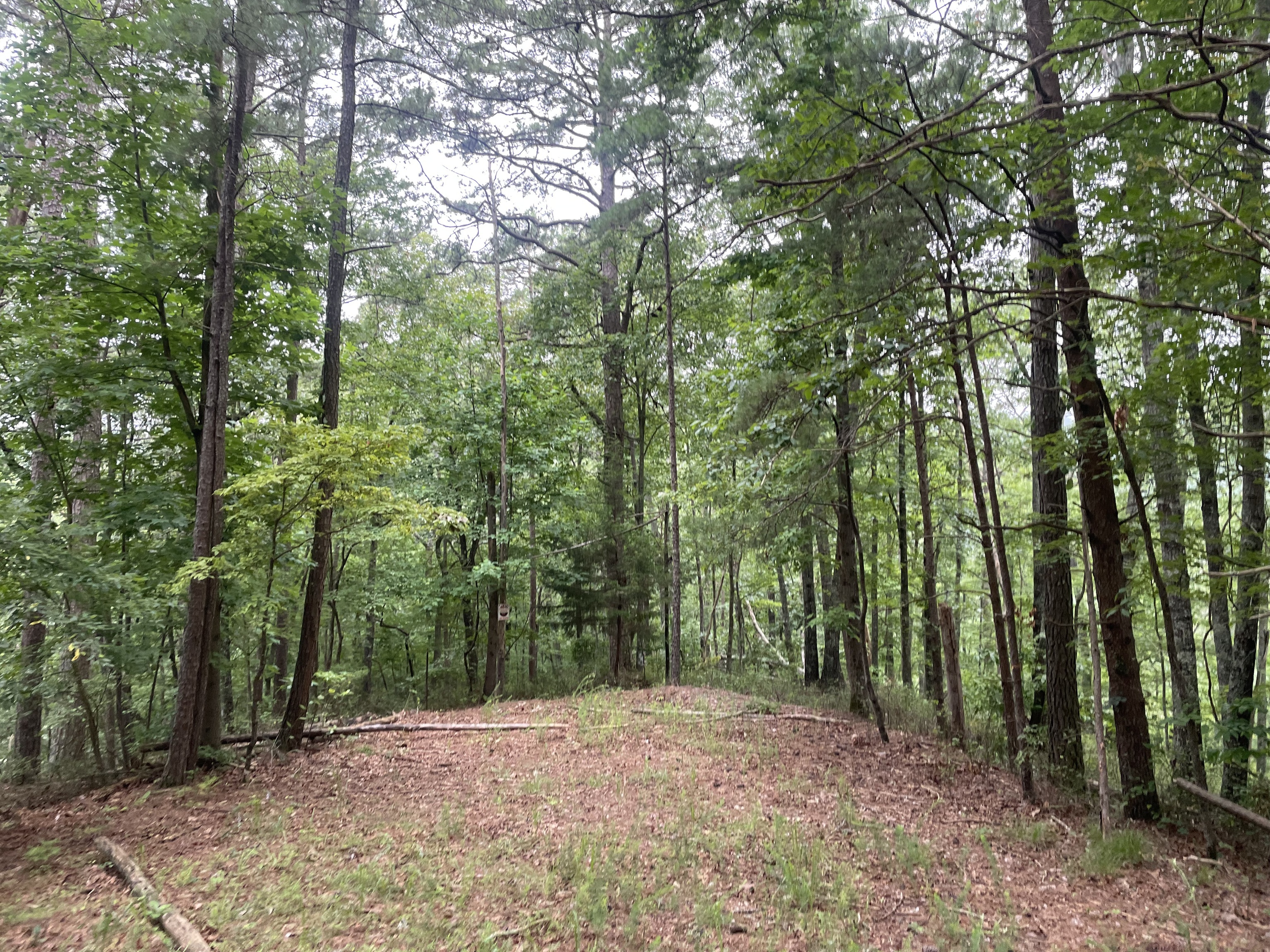 741 Forge Court Property Photo 4