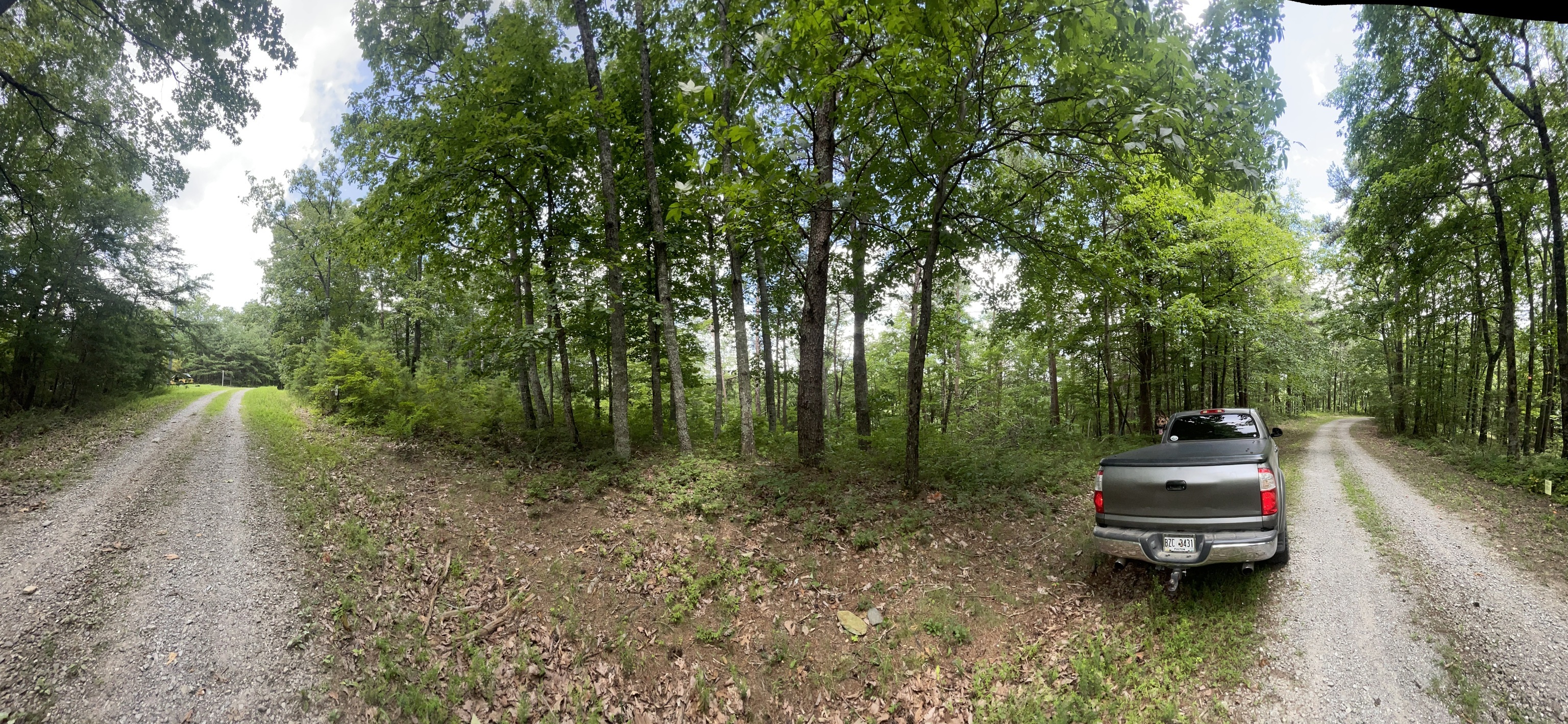 1462 Hanna Drive Property Photo 1