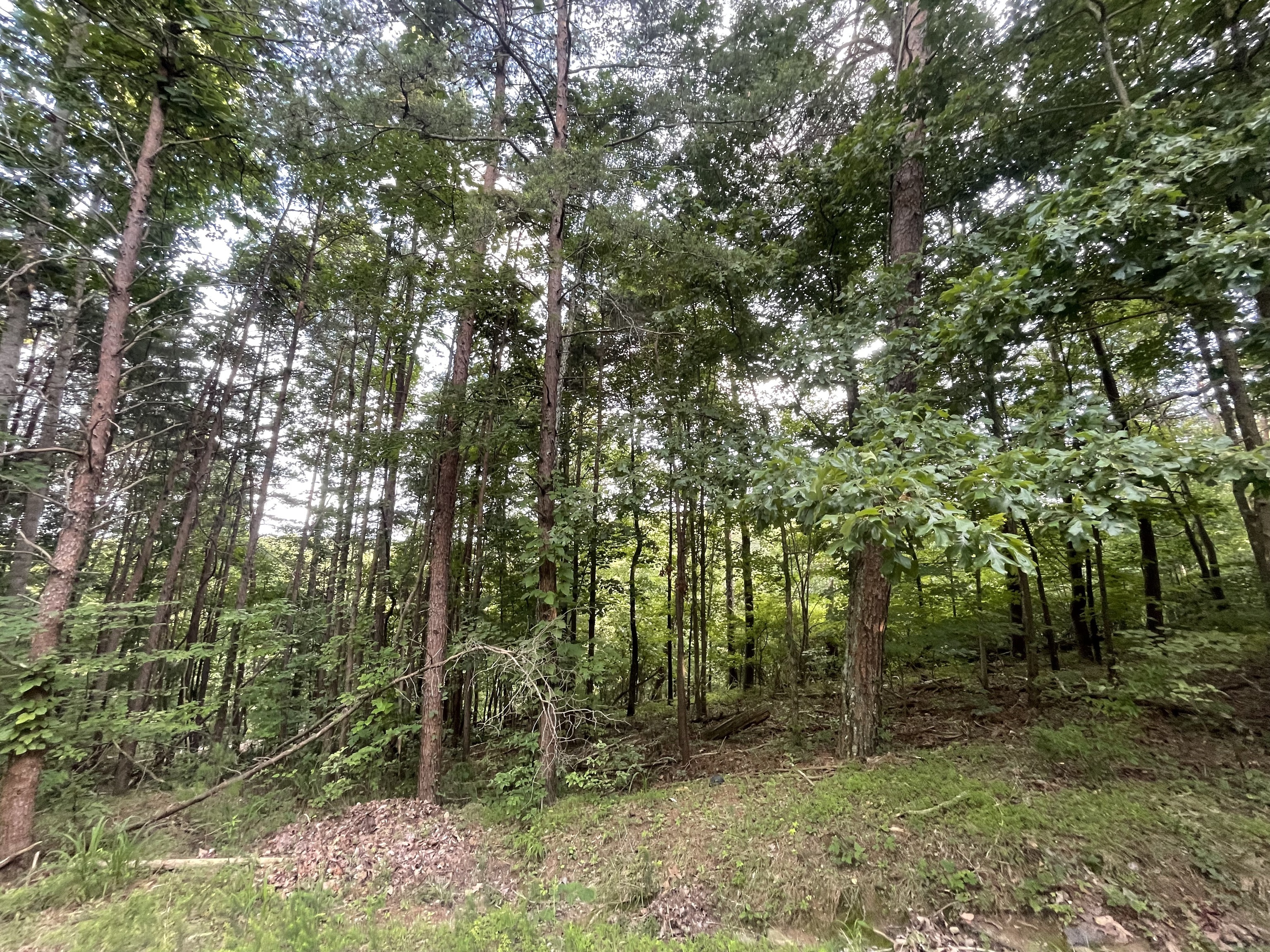1059 Mayfield Lane NE Property Photo 1