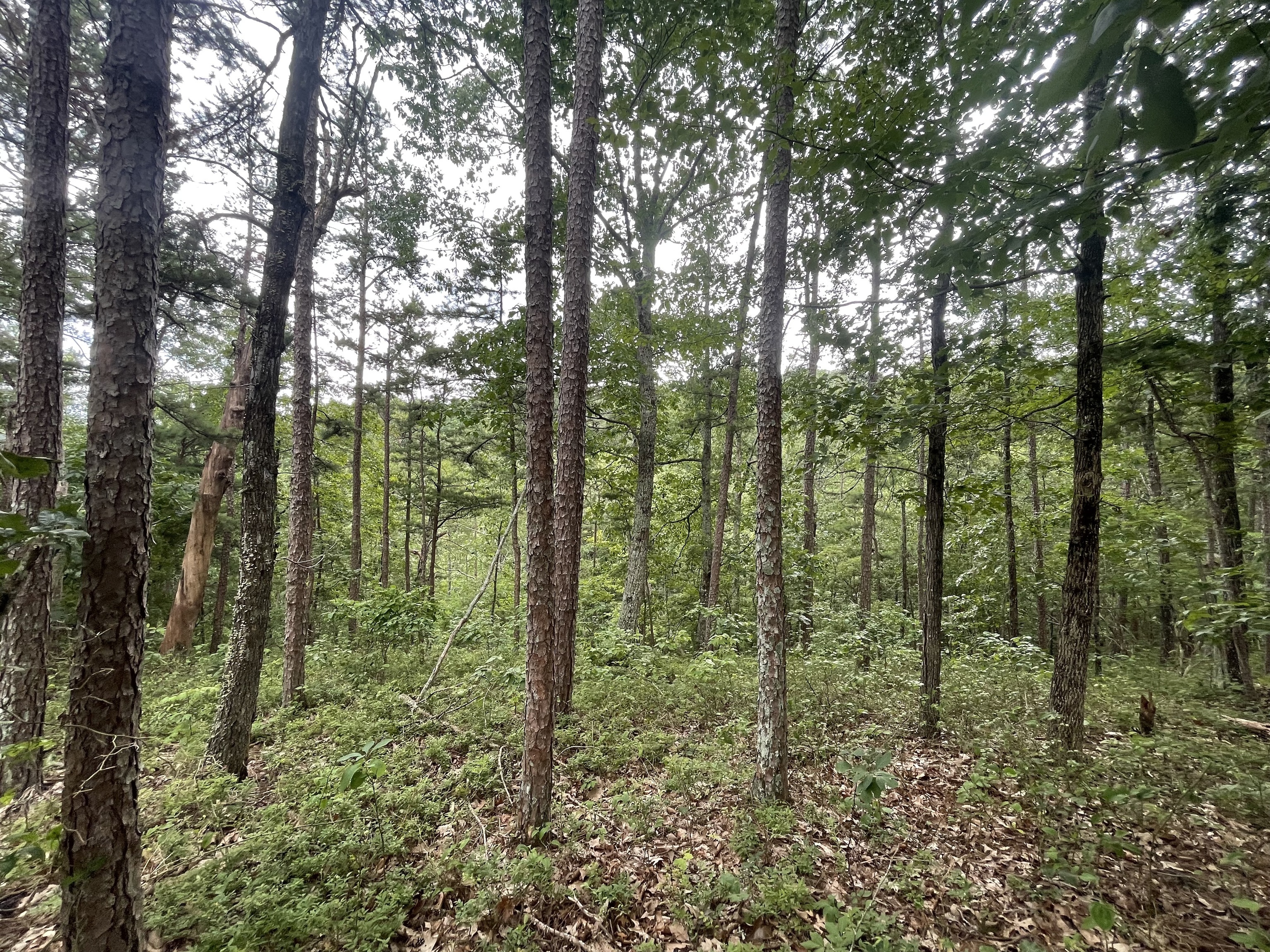 1314 Arrow Court Property Photo 1