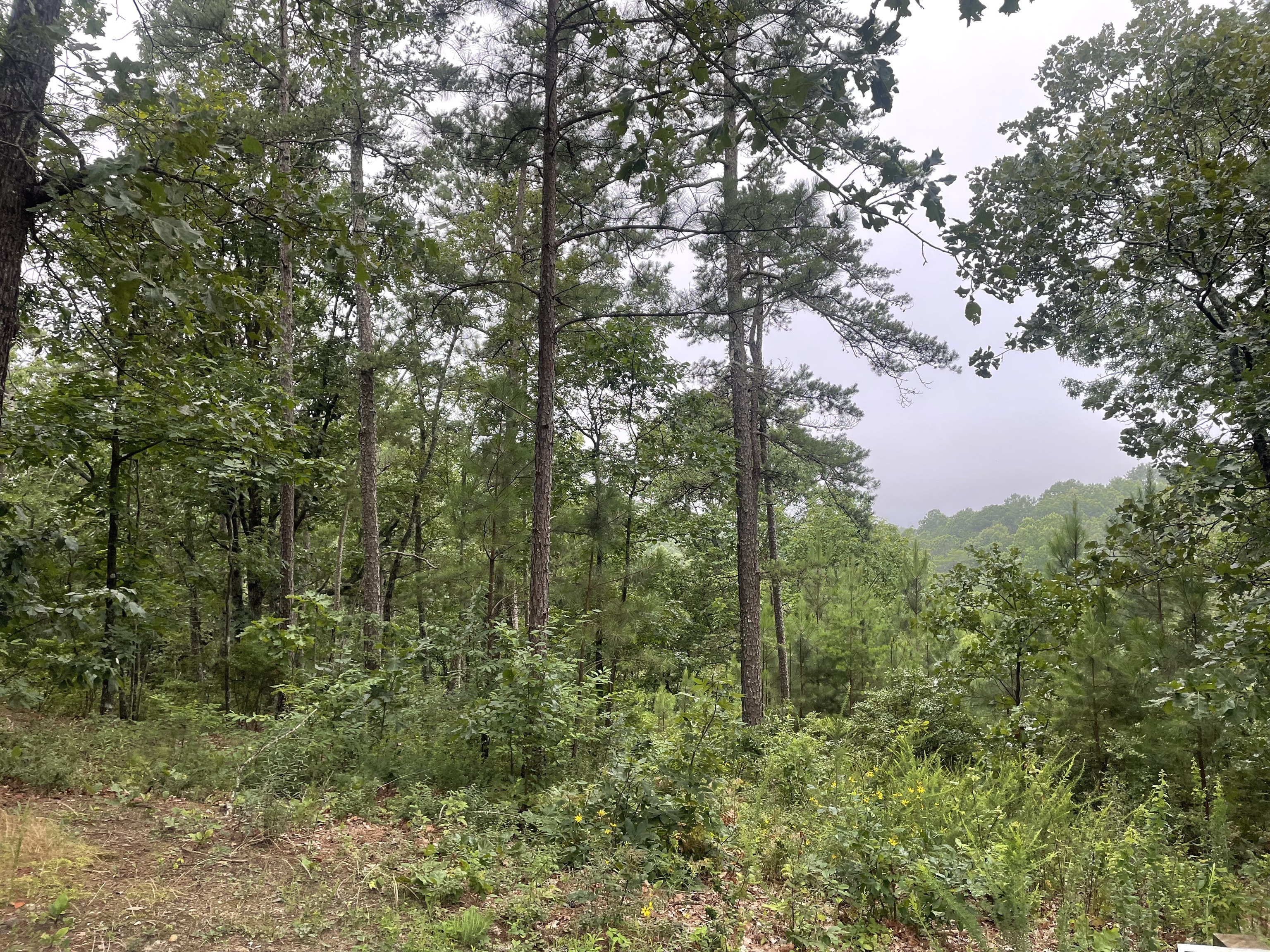 425 Marble Court Property Photo 1