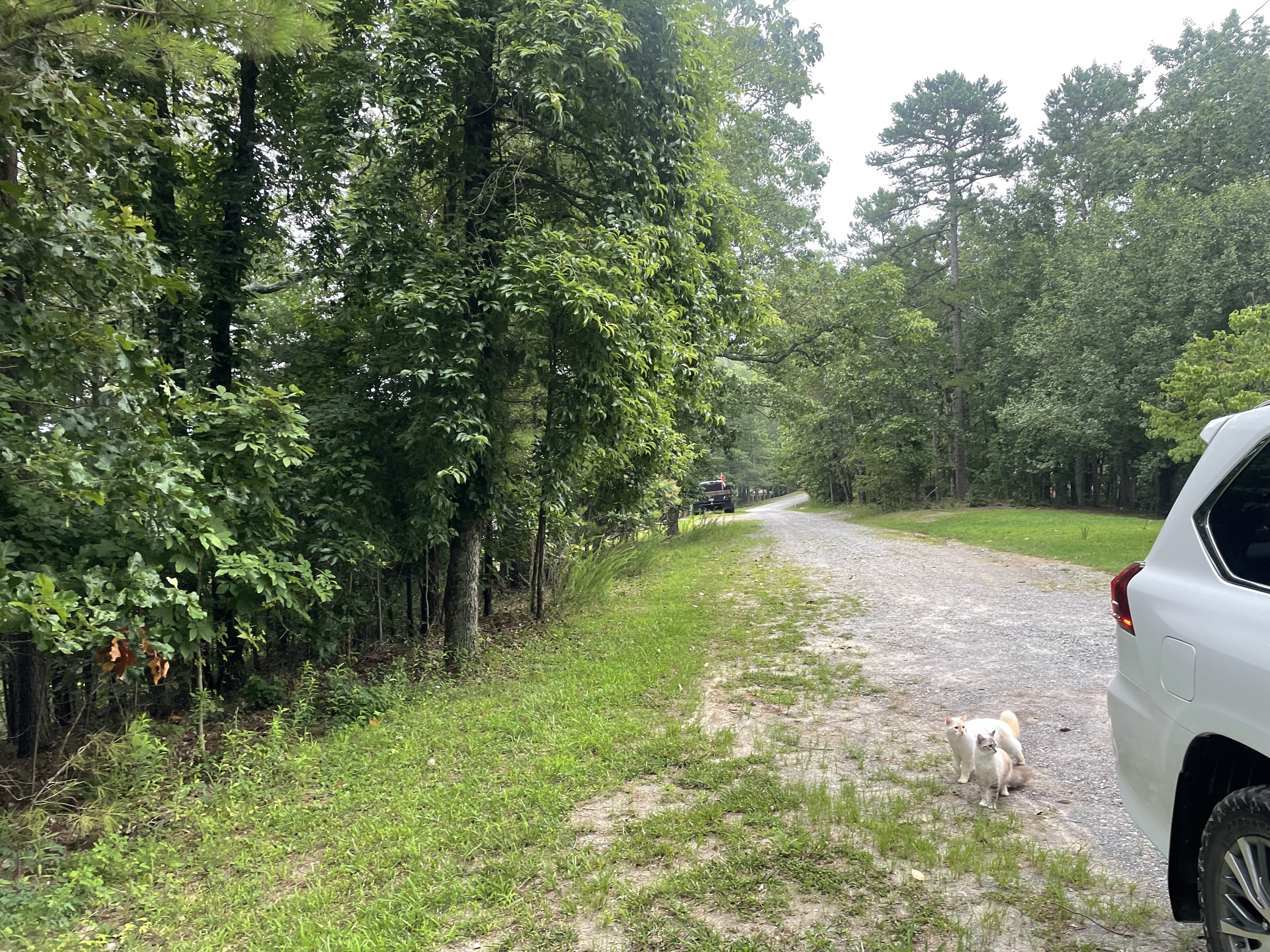425 Marble Court Property Photo 2