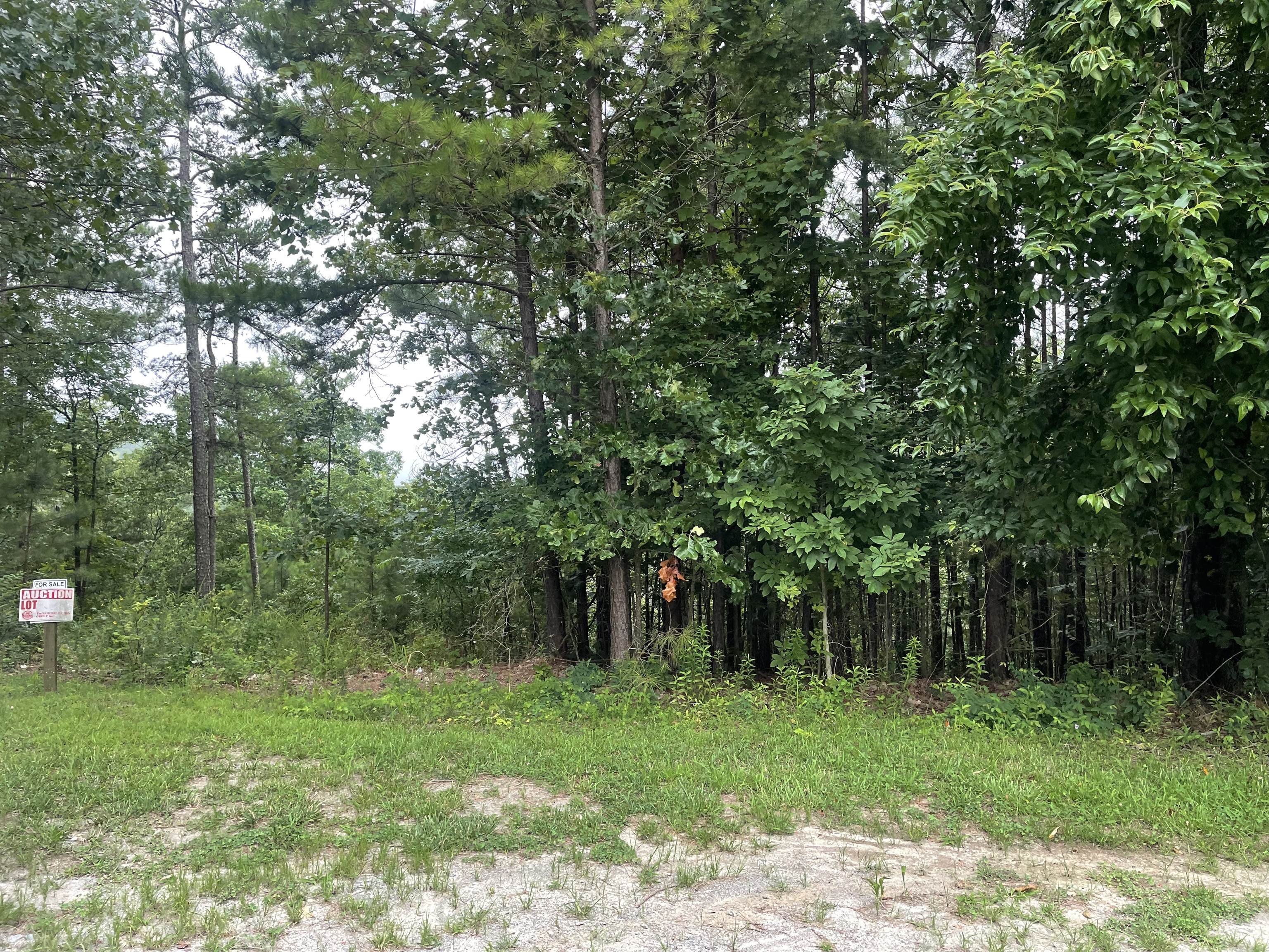 425 Marble Court Property Photo 3