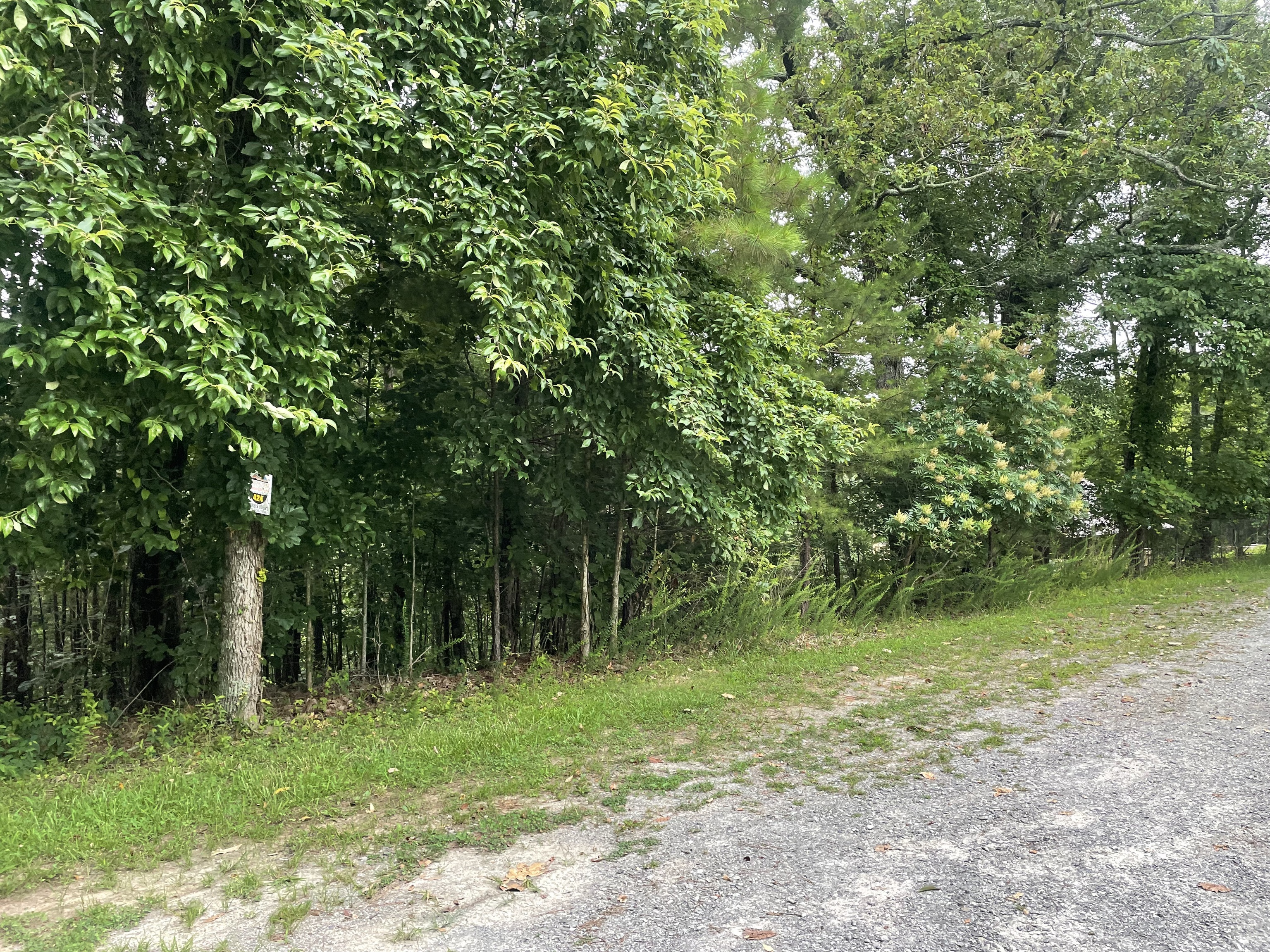 425 Marble Court Property Photo 4