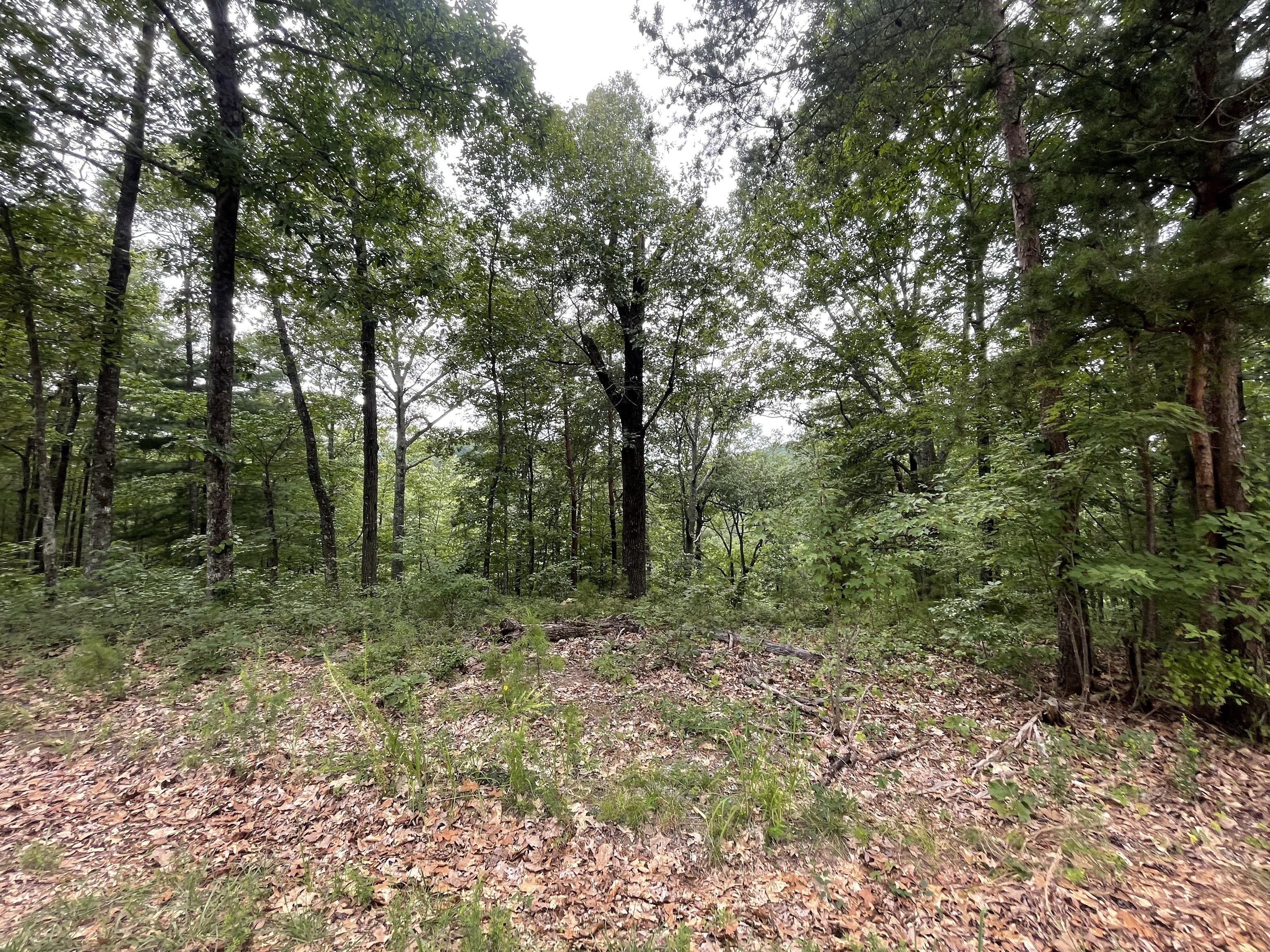 1401 Foxhound Trail Ne Property Photo 1