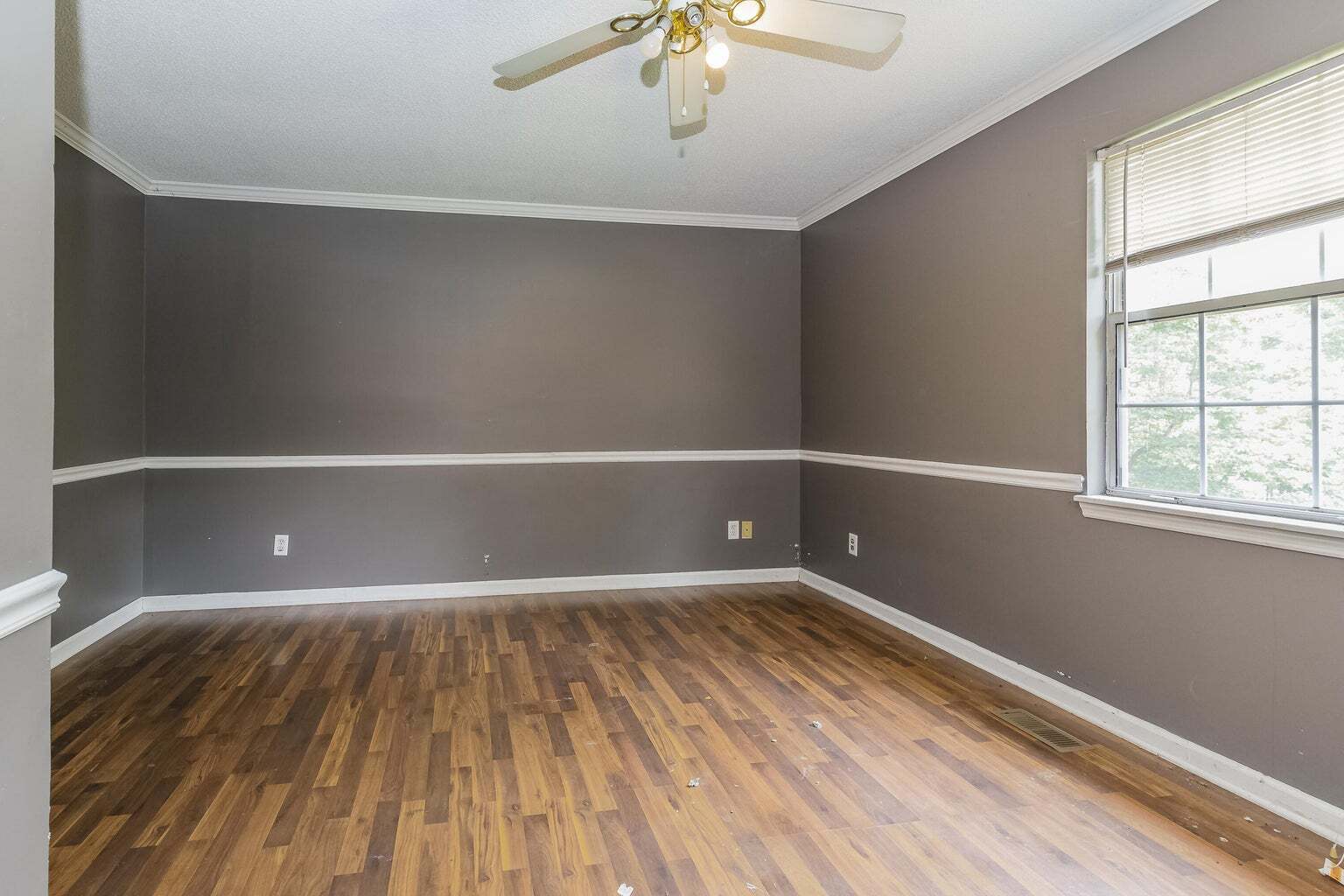 47 Lisbon Road Property Photo 18