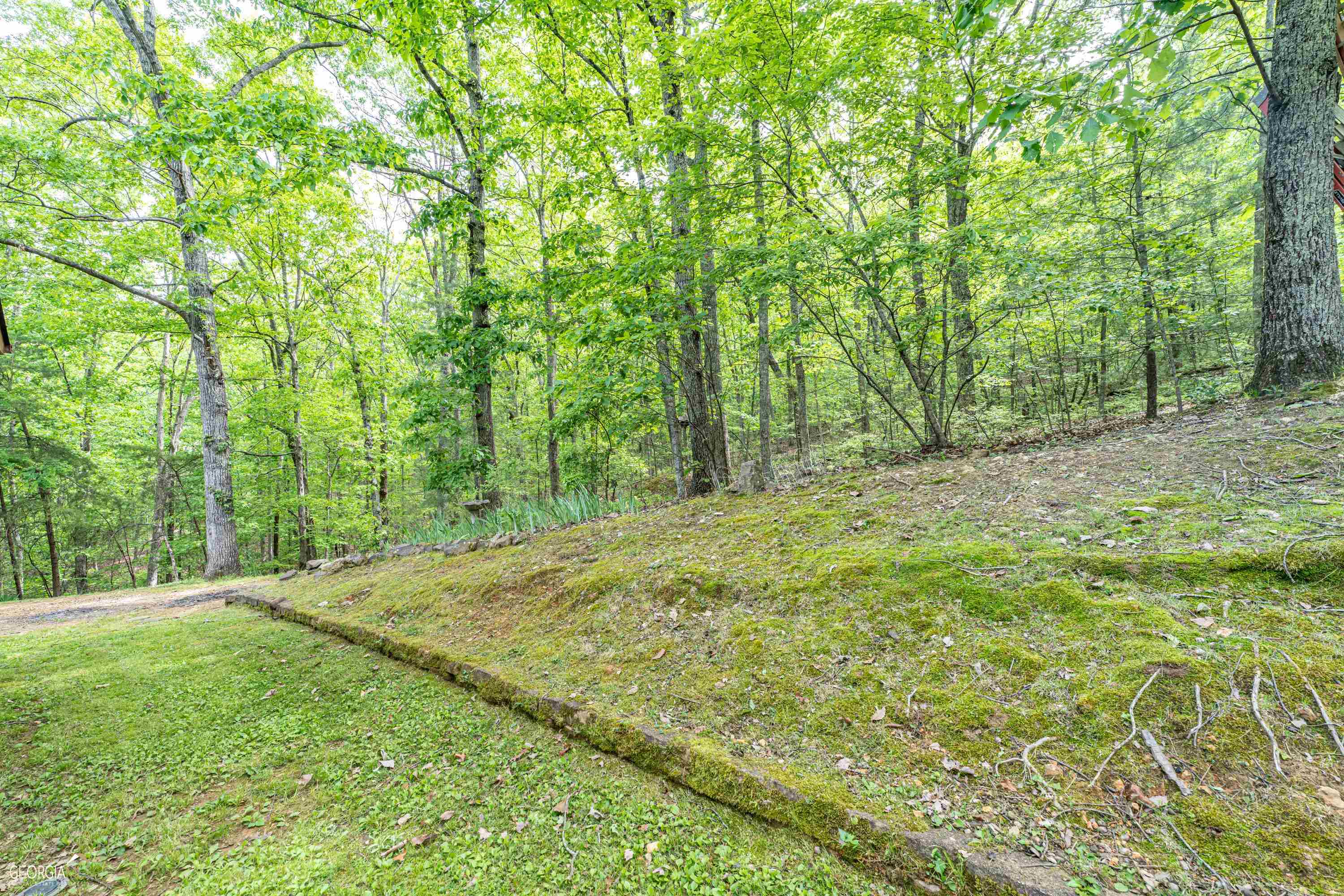 316 Armuchee Trail Ne Property Photo 30