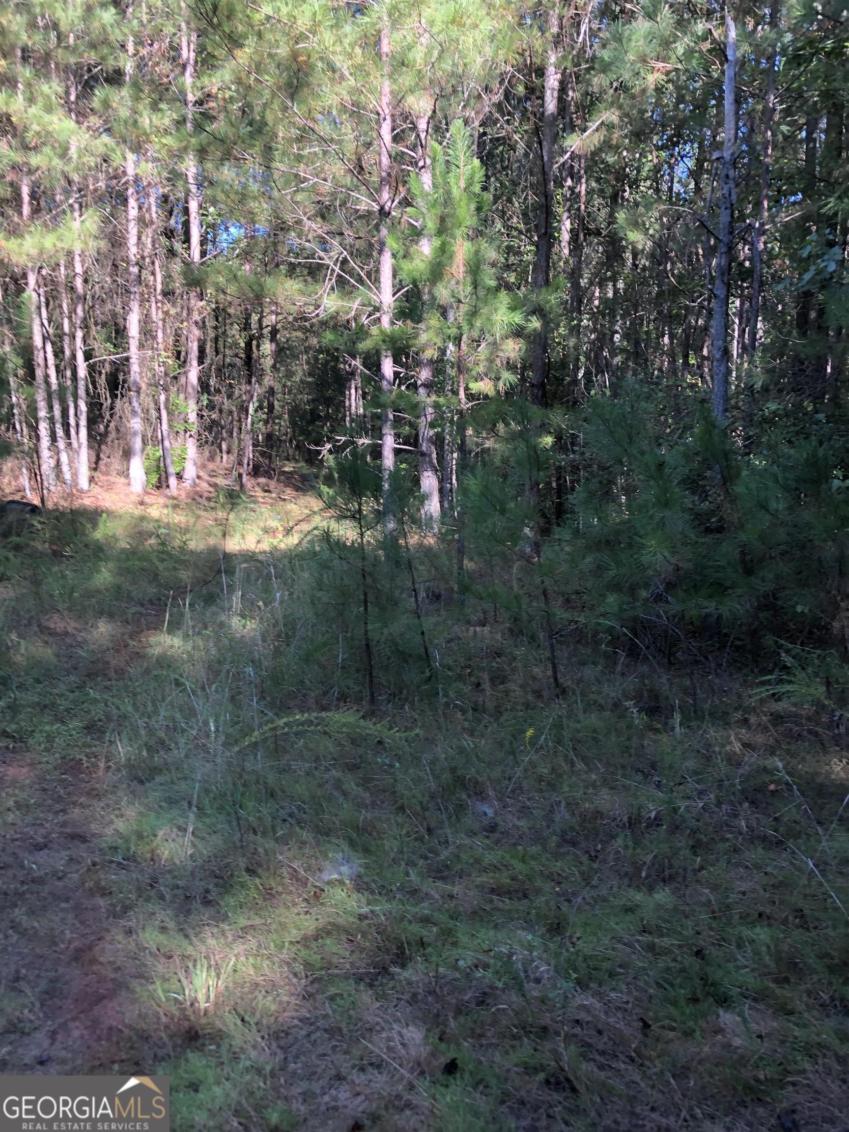 0 Mccart Road Property Photo 5