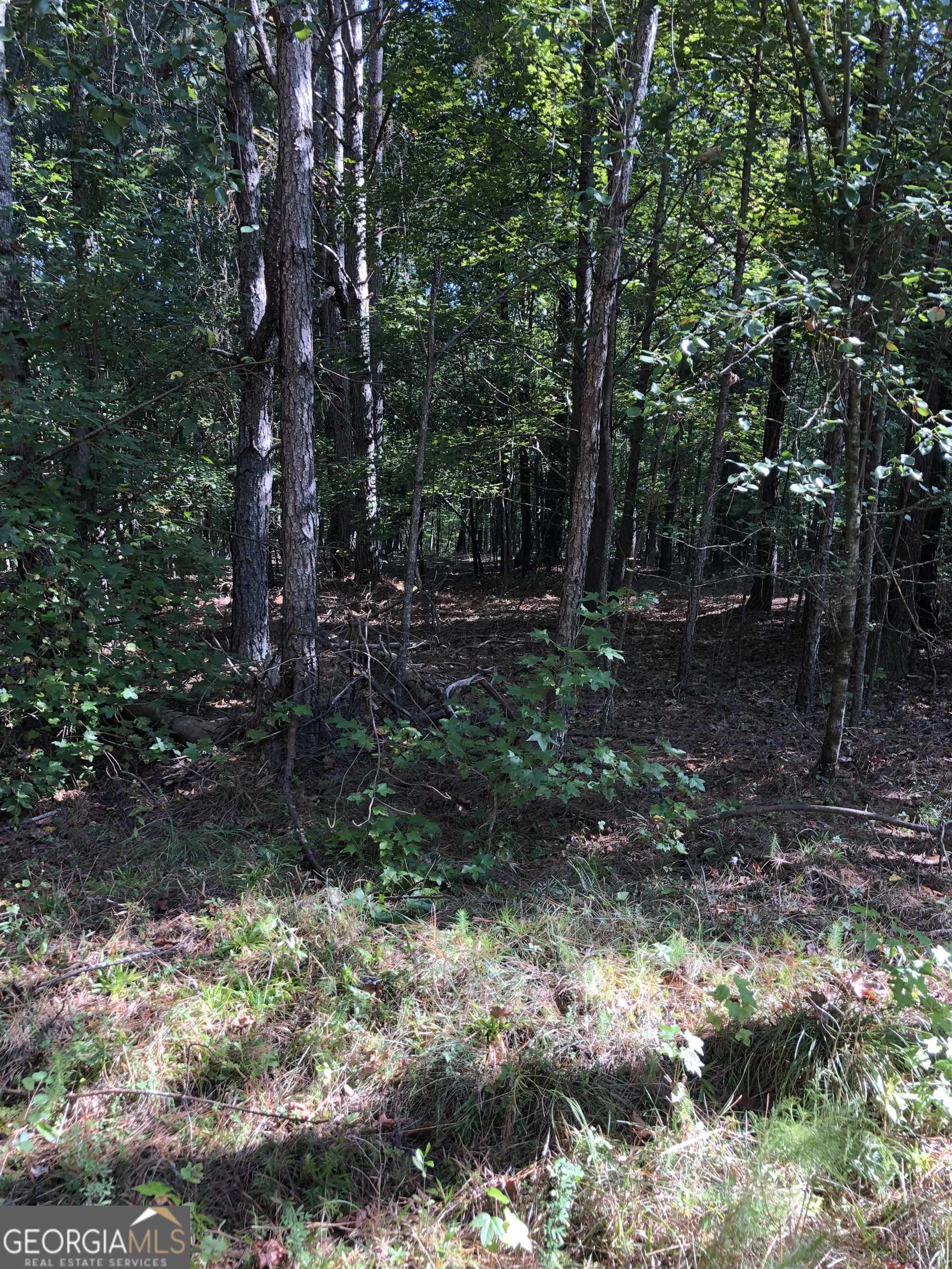 0 Mccart Road Property Photo 7