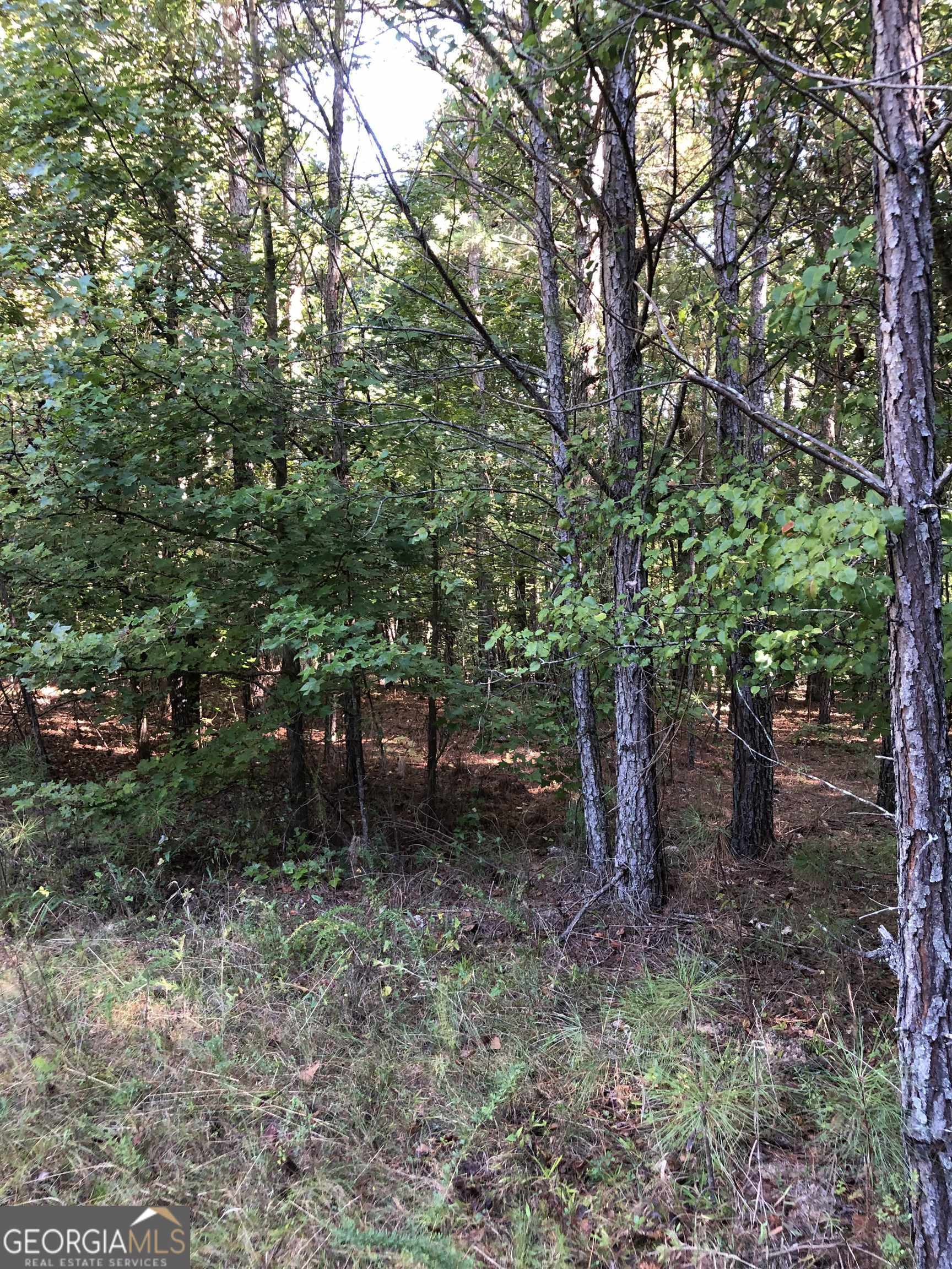 0 Mccart Road Property Photo 8