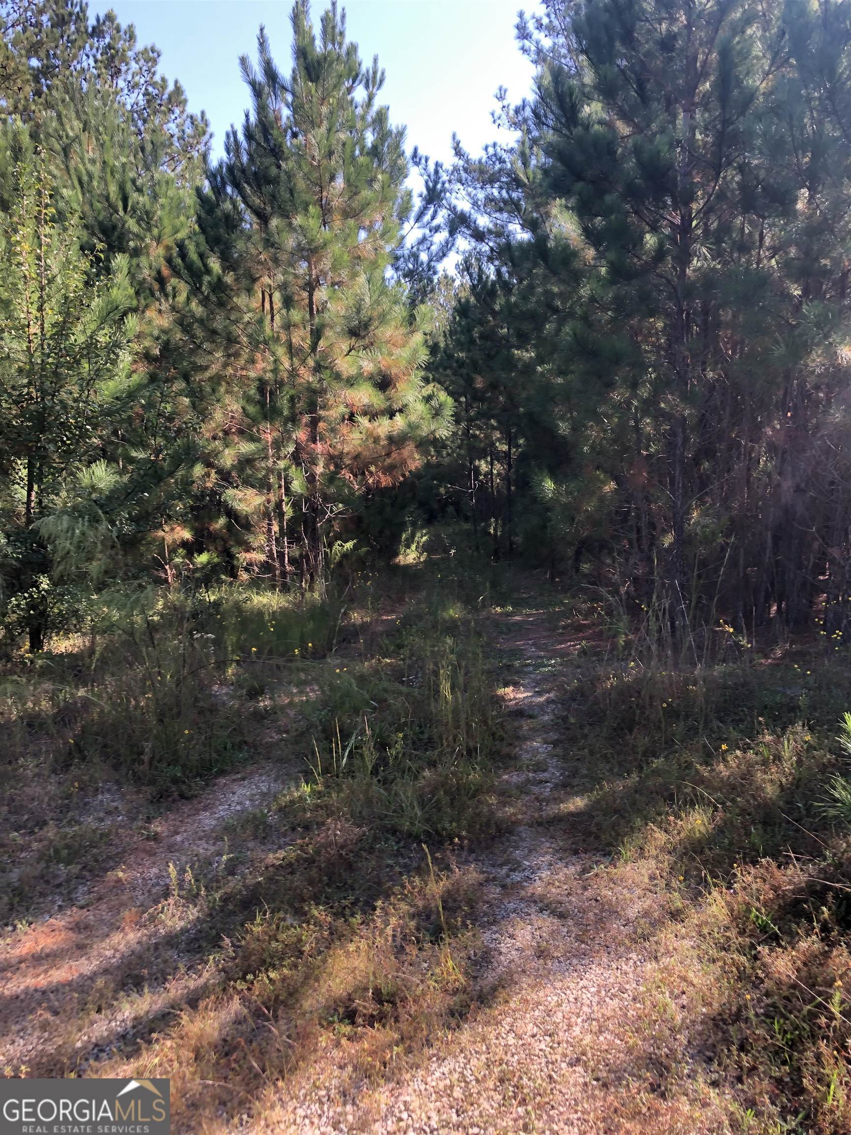 0 Mccart Road Property Photo 11
