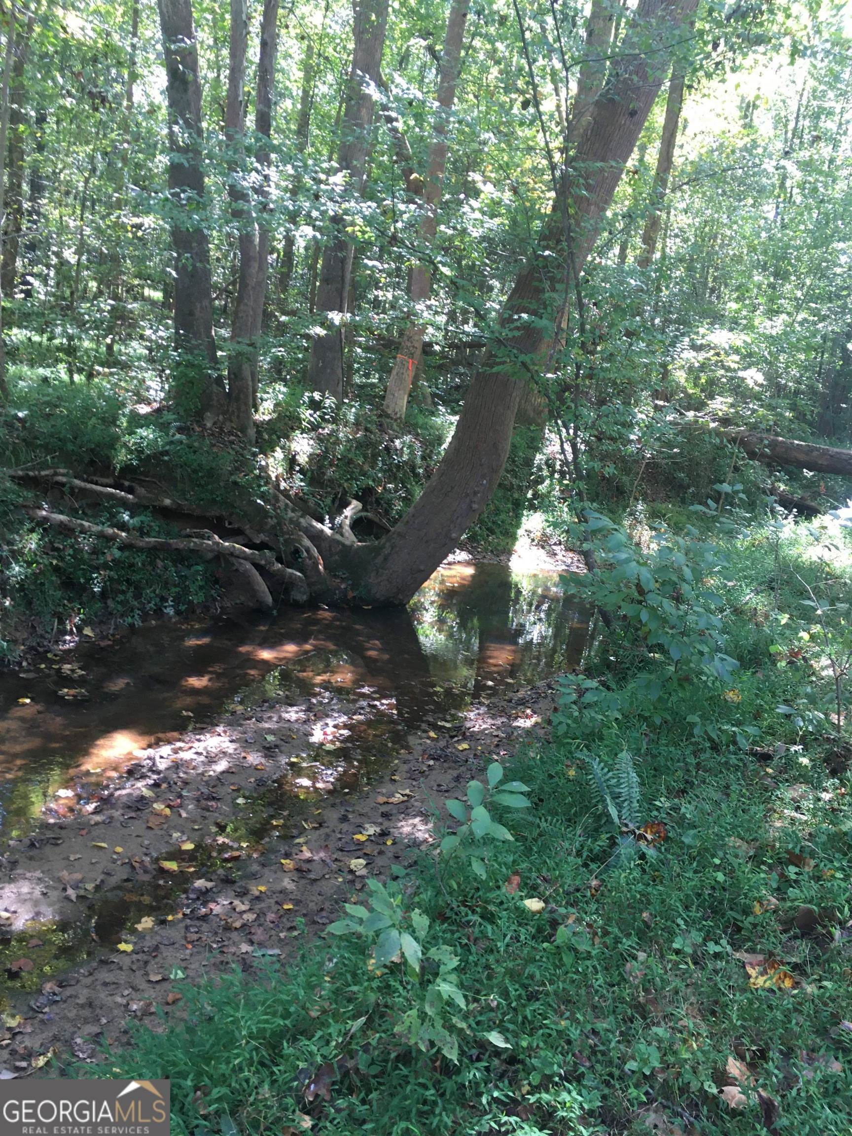 0 Mccart Road Property Photo 12