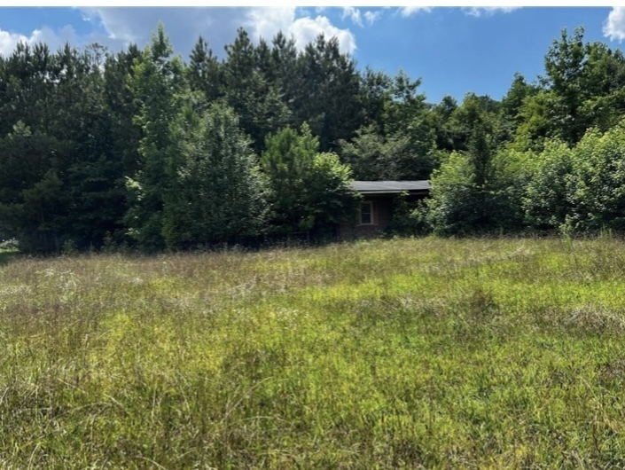 11718 Brown Bridge Road Property Photo 2