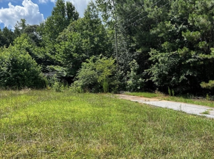 11718 Brown Bridge Road Property Photo 3