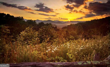 LOT 29 Raven Ridge Road Property Photo 1