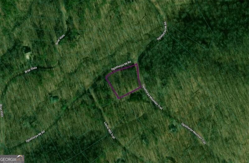 0 Oglethorpe Mountain Road Property Photo 1