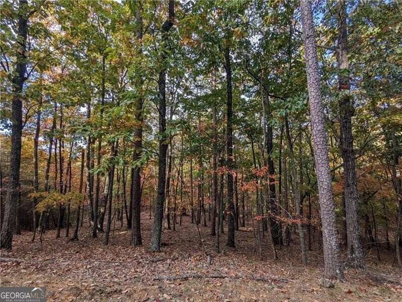 0 Oglethorpe Mountain Road
