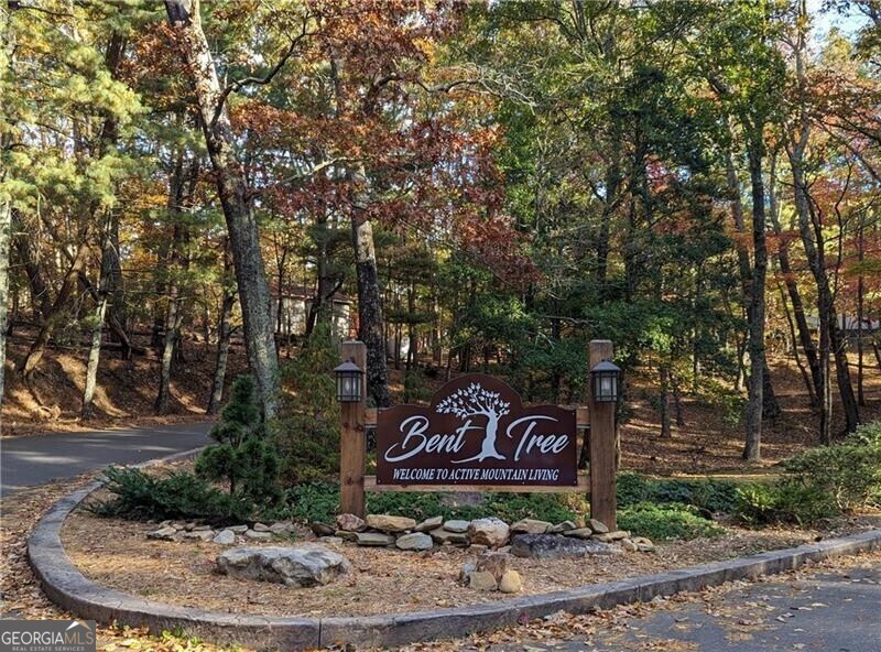 0 Oglethorpe Mountain Road Property Photo 3