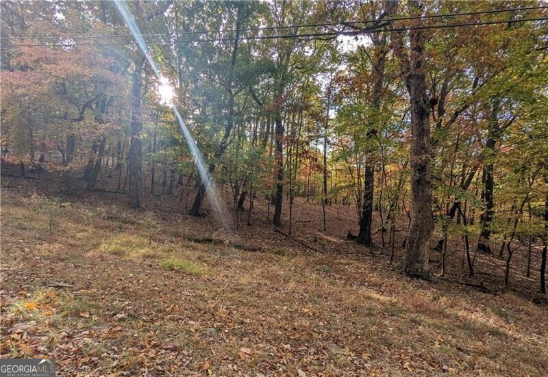 0 Oglethorpe Mountain Road Property Photo 4