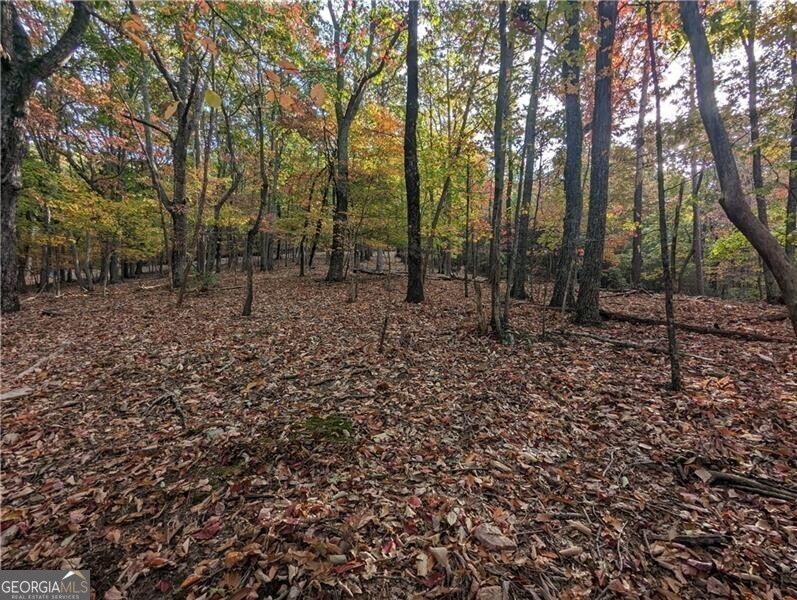 0 Oglethorpe Mountain Road Property Photo 5