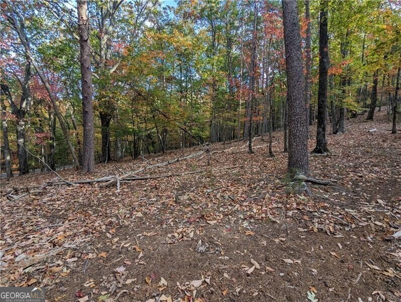0 Oglethorpe Mountain Road Property Photo 6
