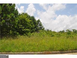 298 Randall Drive Property Photo 3