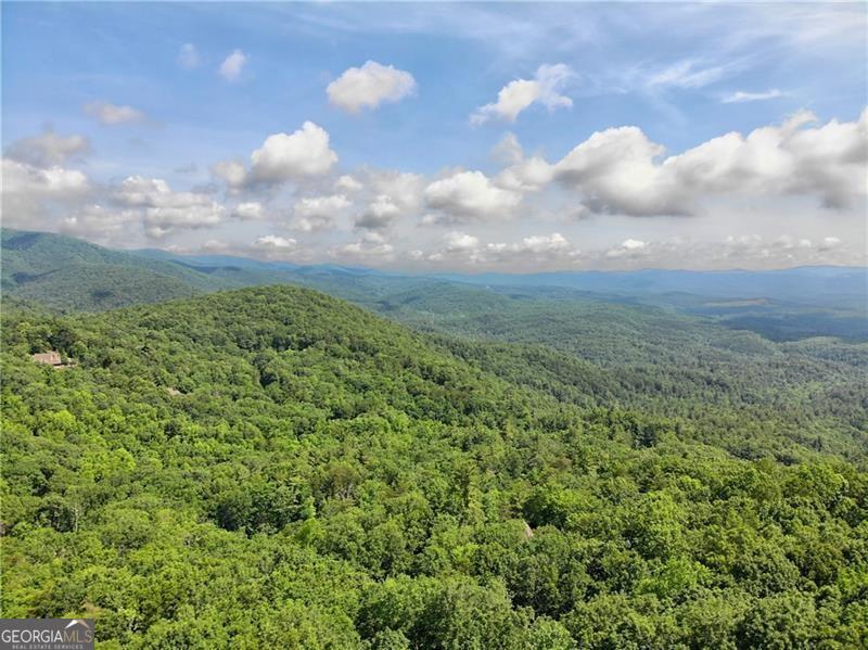 3023 Wild Turkey Bluff Property Photo 1